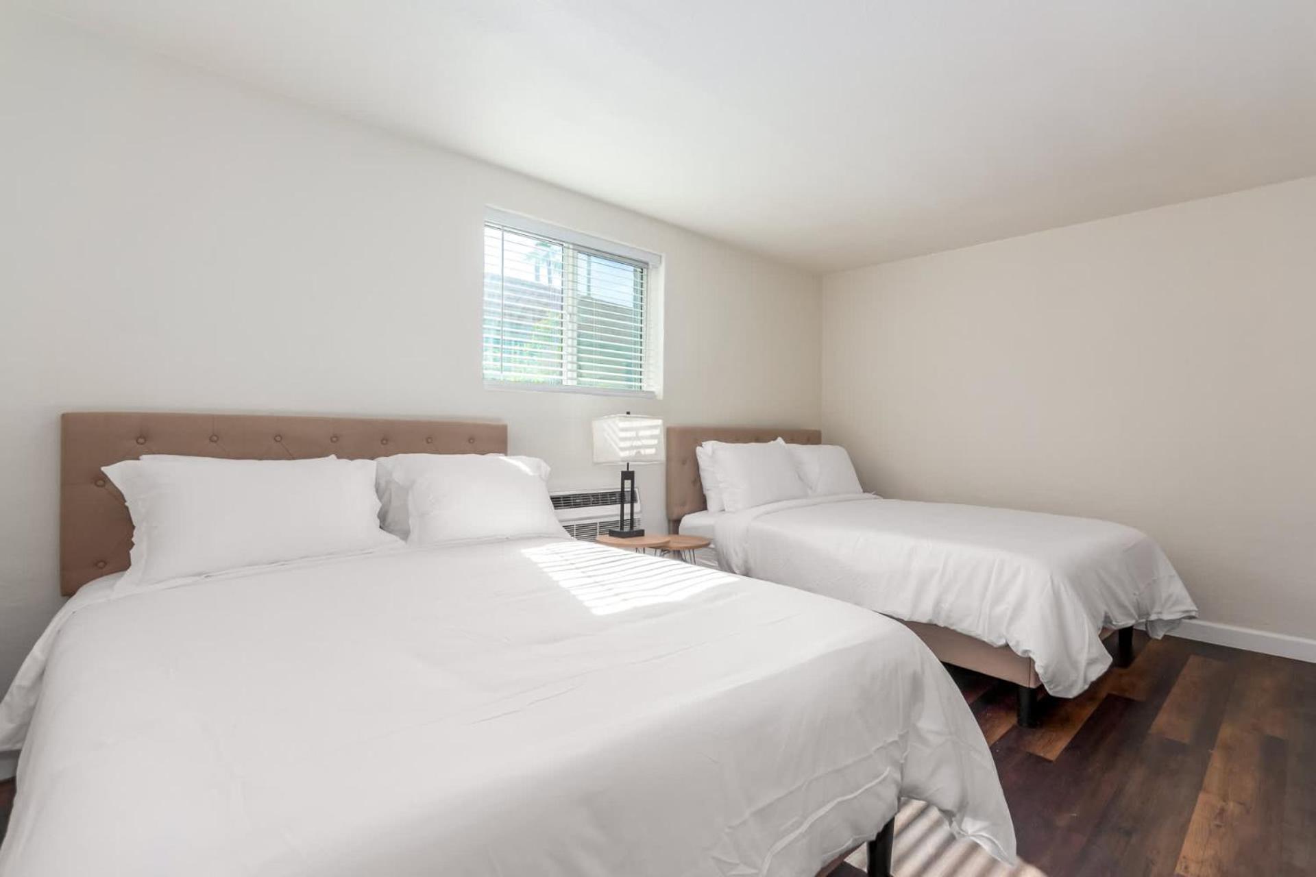 Suite photo 1
