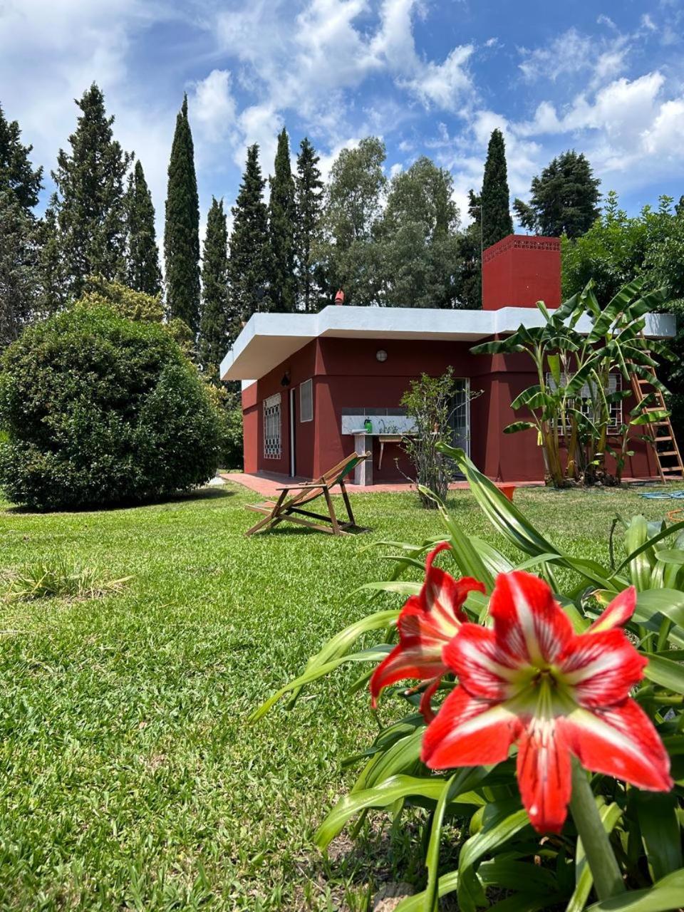 Three-Bedroom Villa photo 2