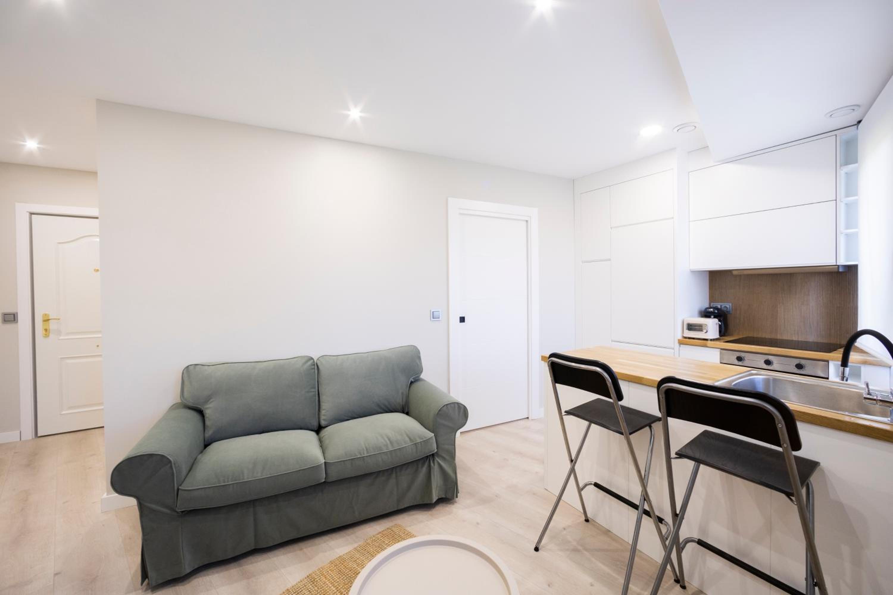 One-Bedroom Apartment photo 3