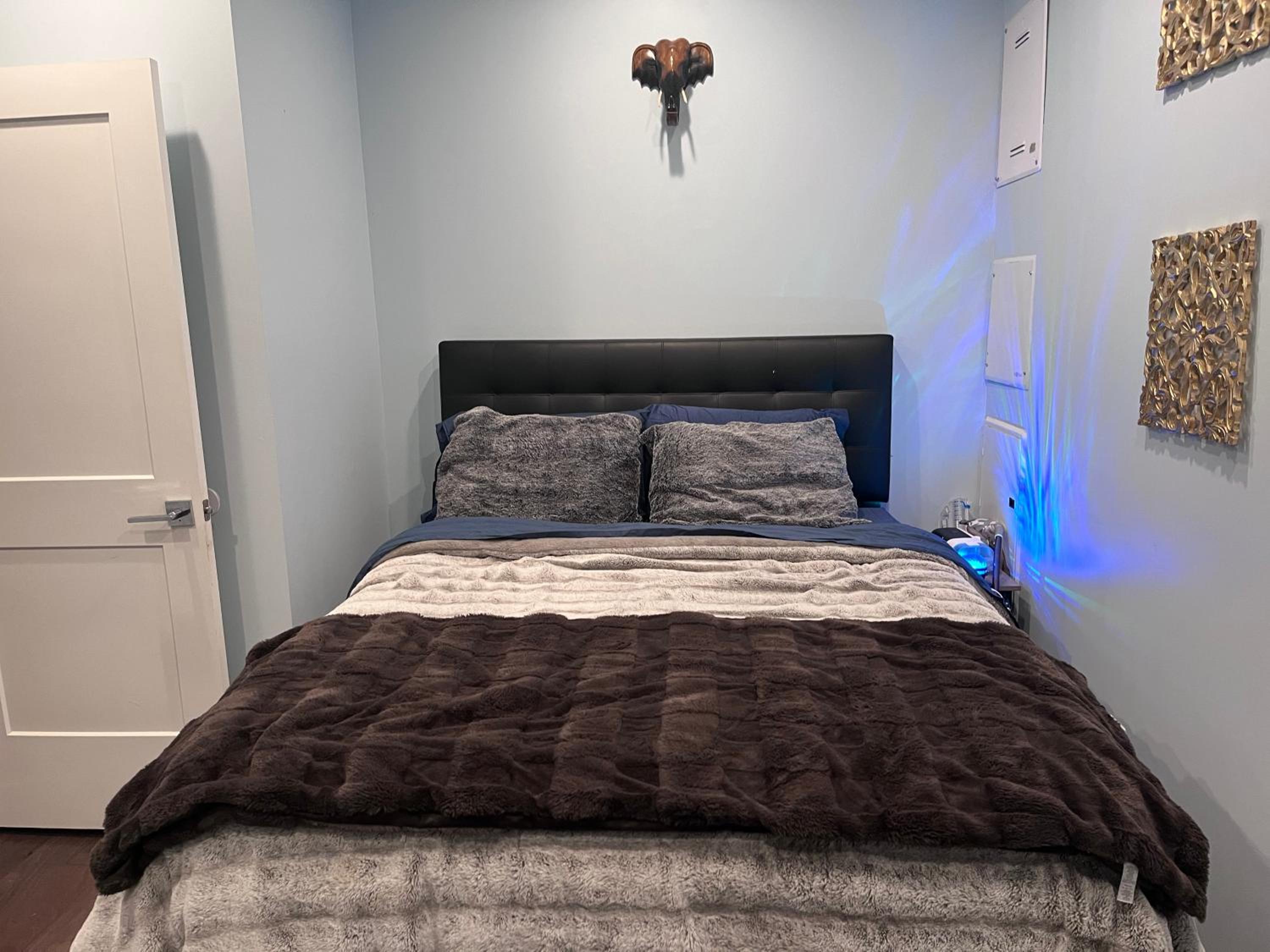 Deluxe One-Bedroom Apartment