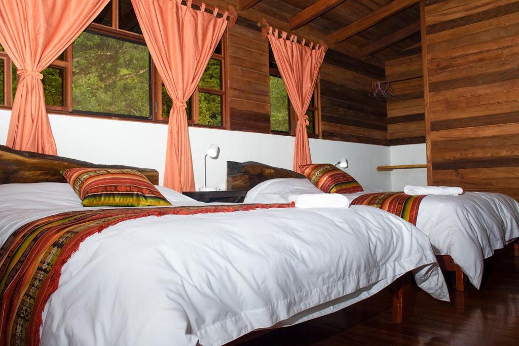 Suite with Balcony photo 2