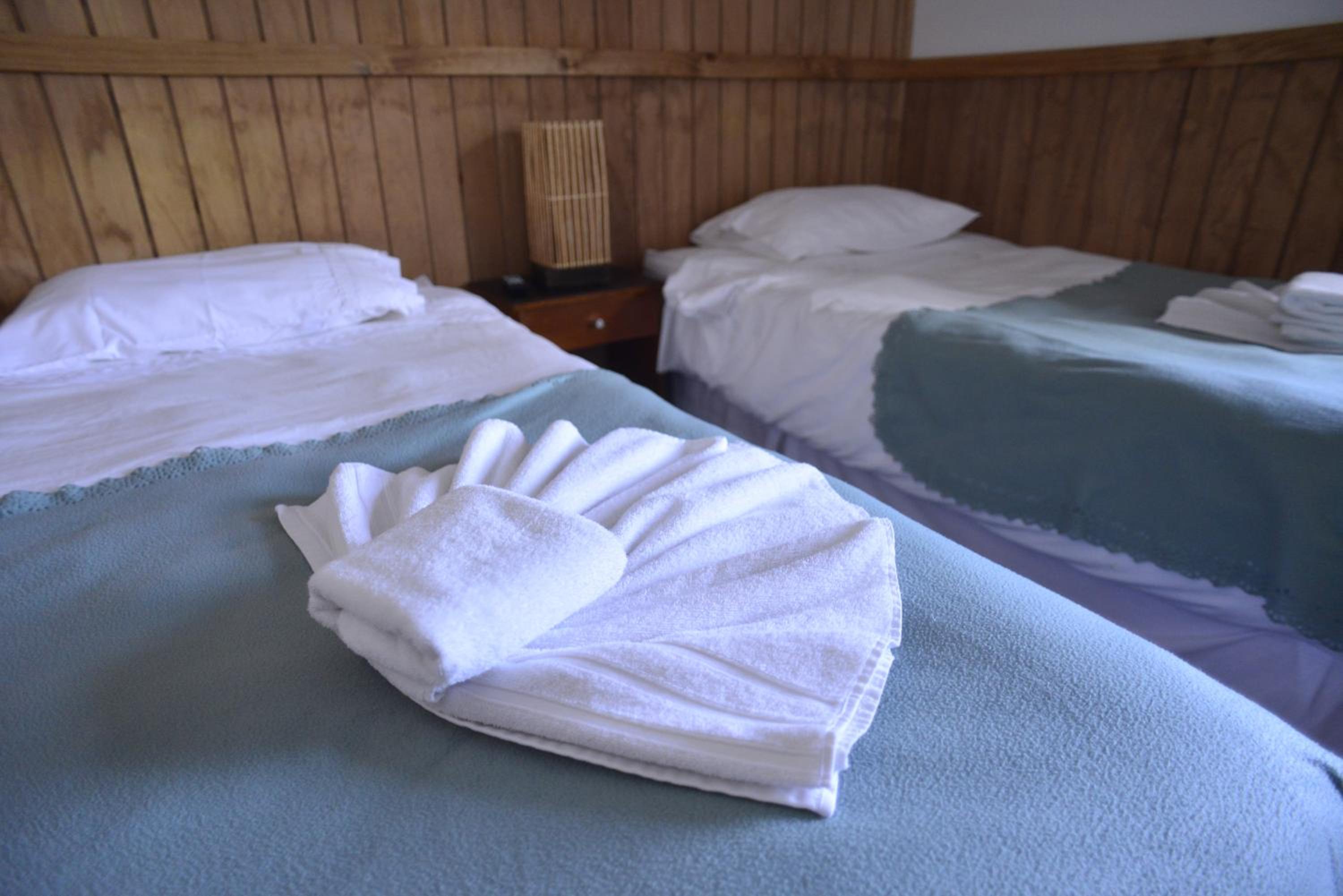 Twin Room photo 1