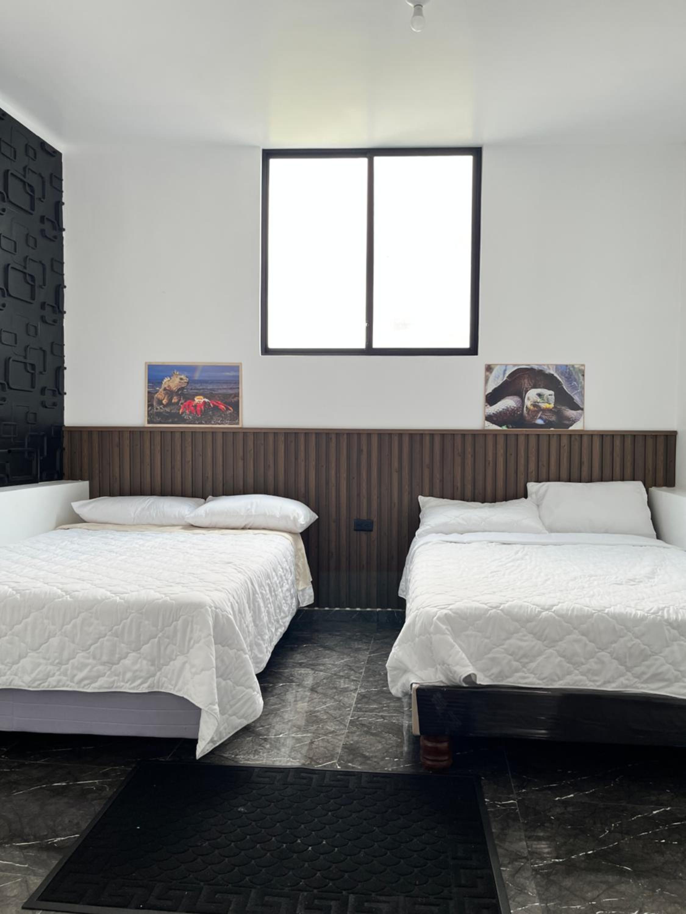 Double or Twin Room photo 1