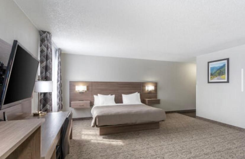 King Suite - Photo 2
