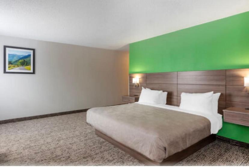 King Suite - Photo 3