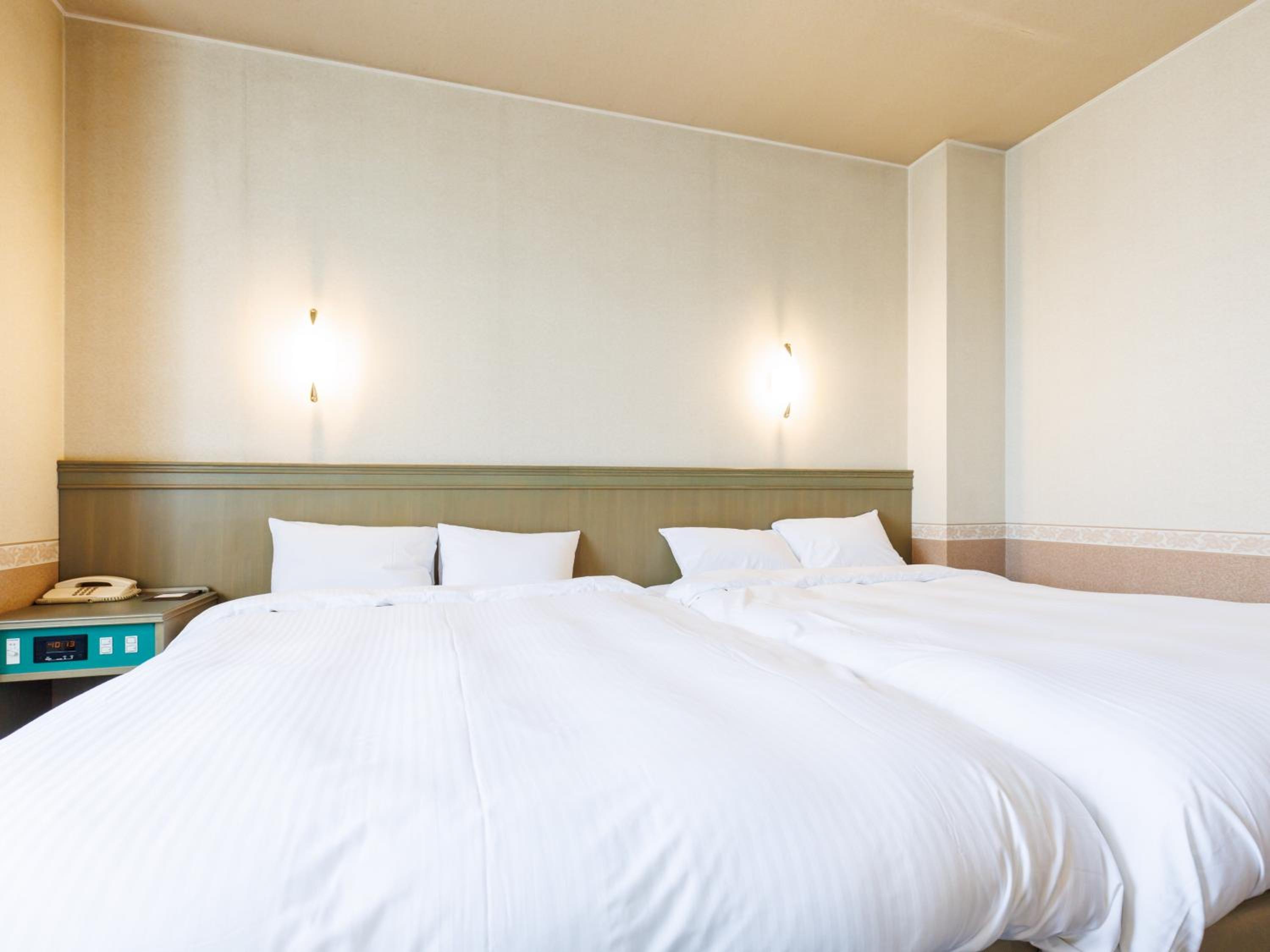 Superior Twin Room photo 3