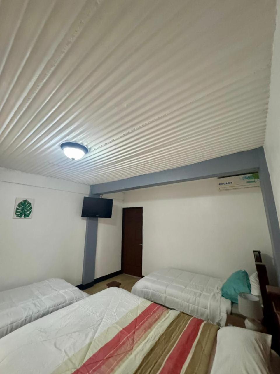 Basic Triple Room