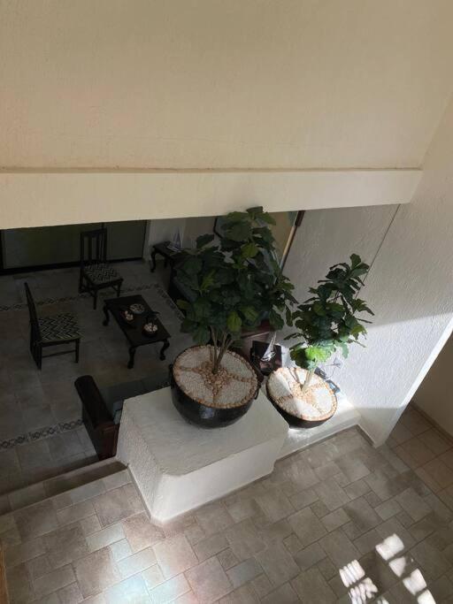 Two-Bedroom House photo 1