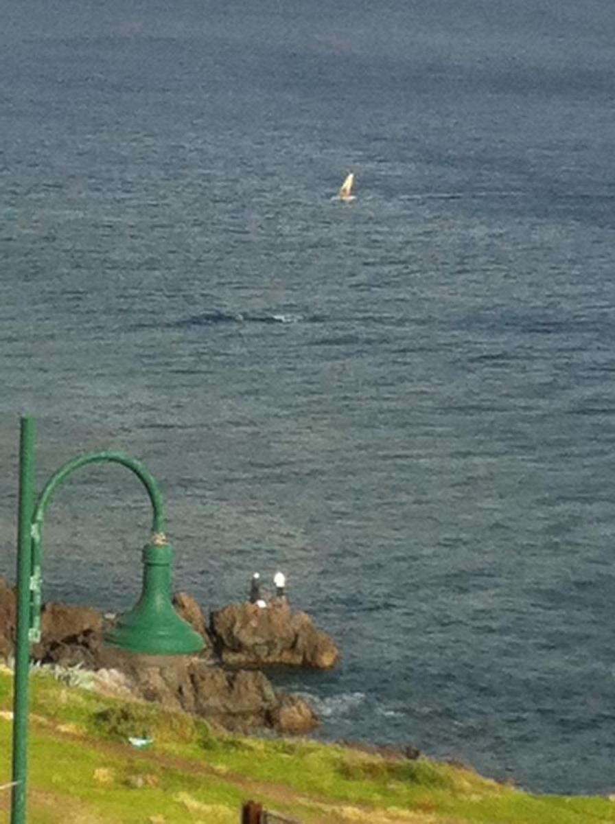 Apartment with Sea View photo 3