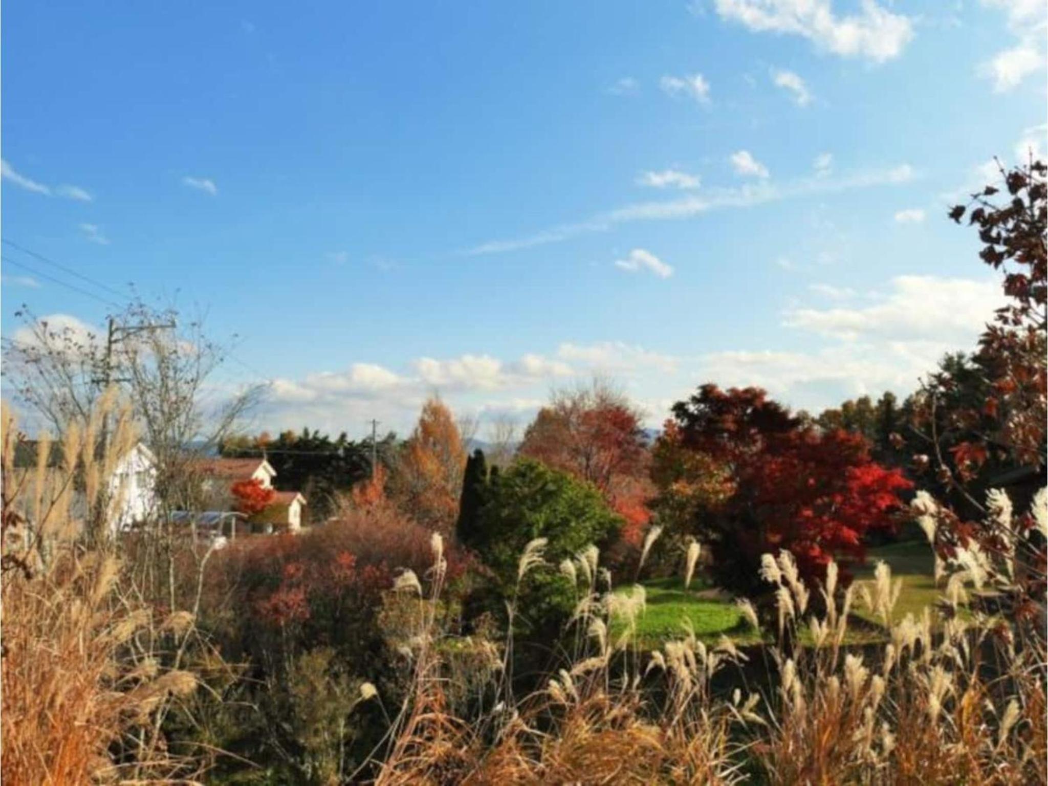 Vacation Home - Photo 6