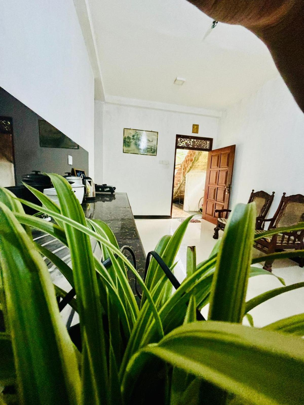 One-Bedroom Apartment photo 3