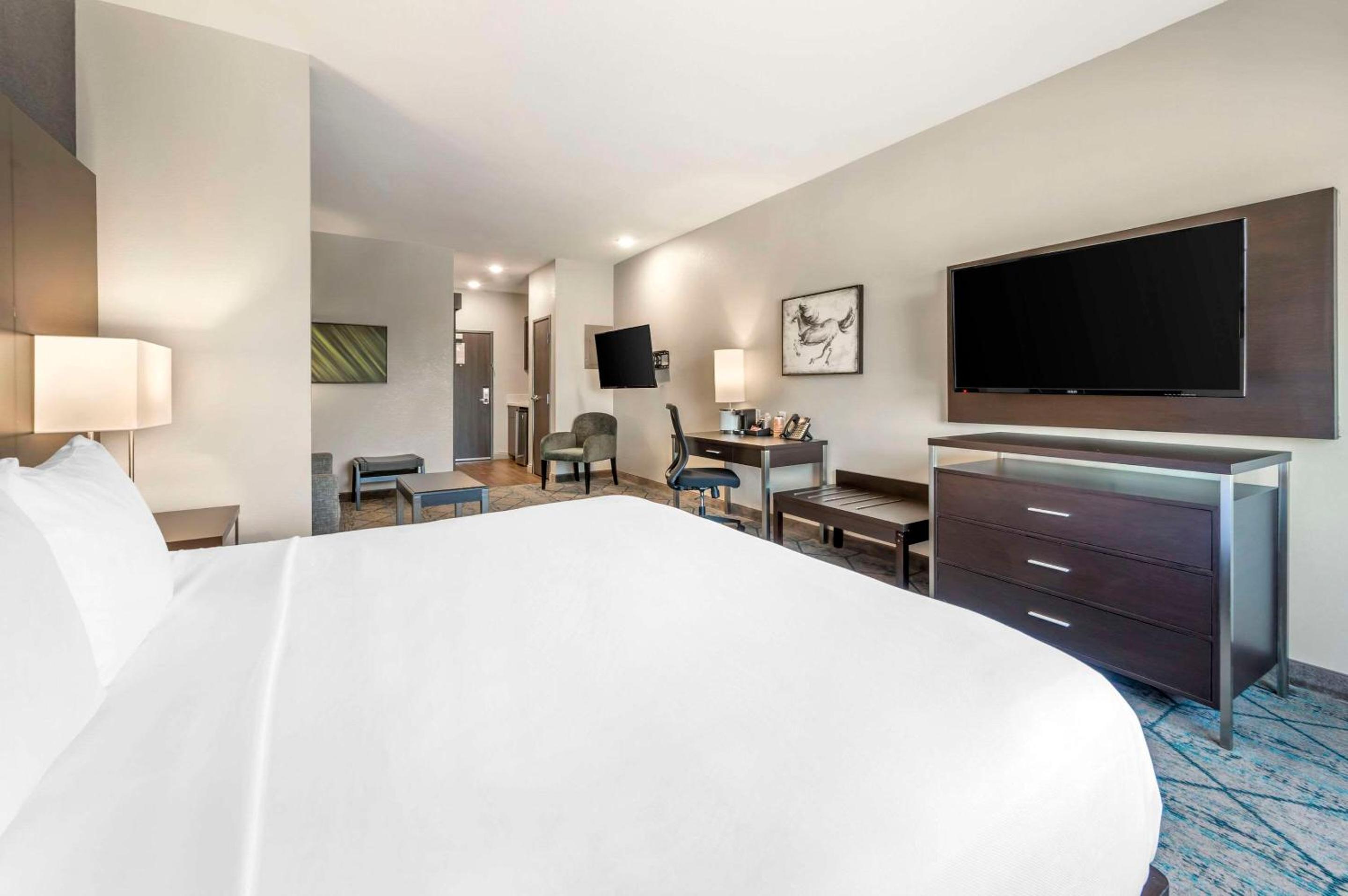 King Suite with Sofa - Non Smoking - Photo 3