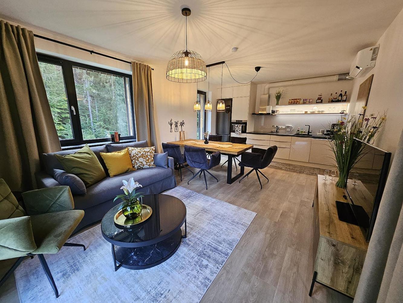 Two-Bedroom Apartment with River View