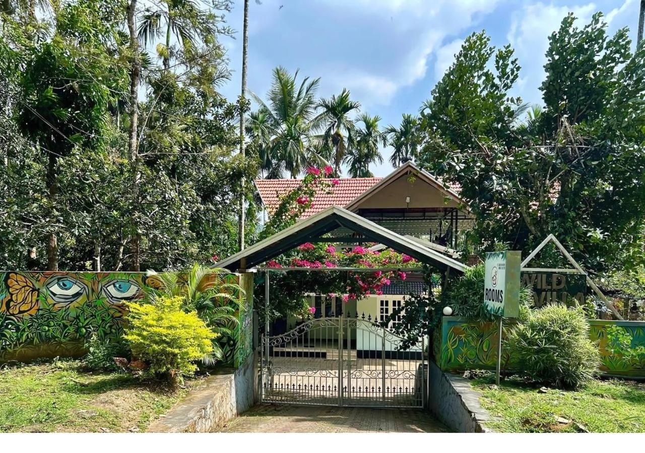 Villa photo 2