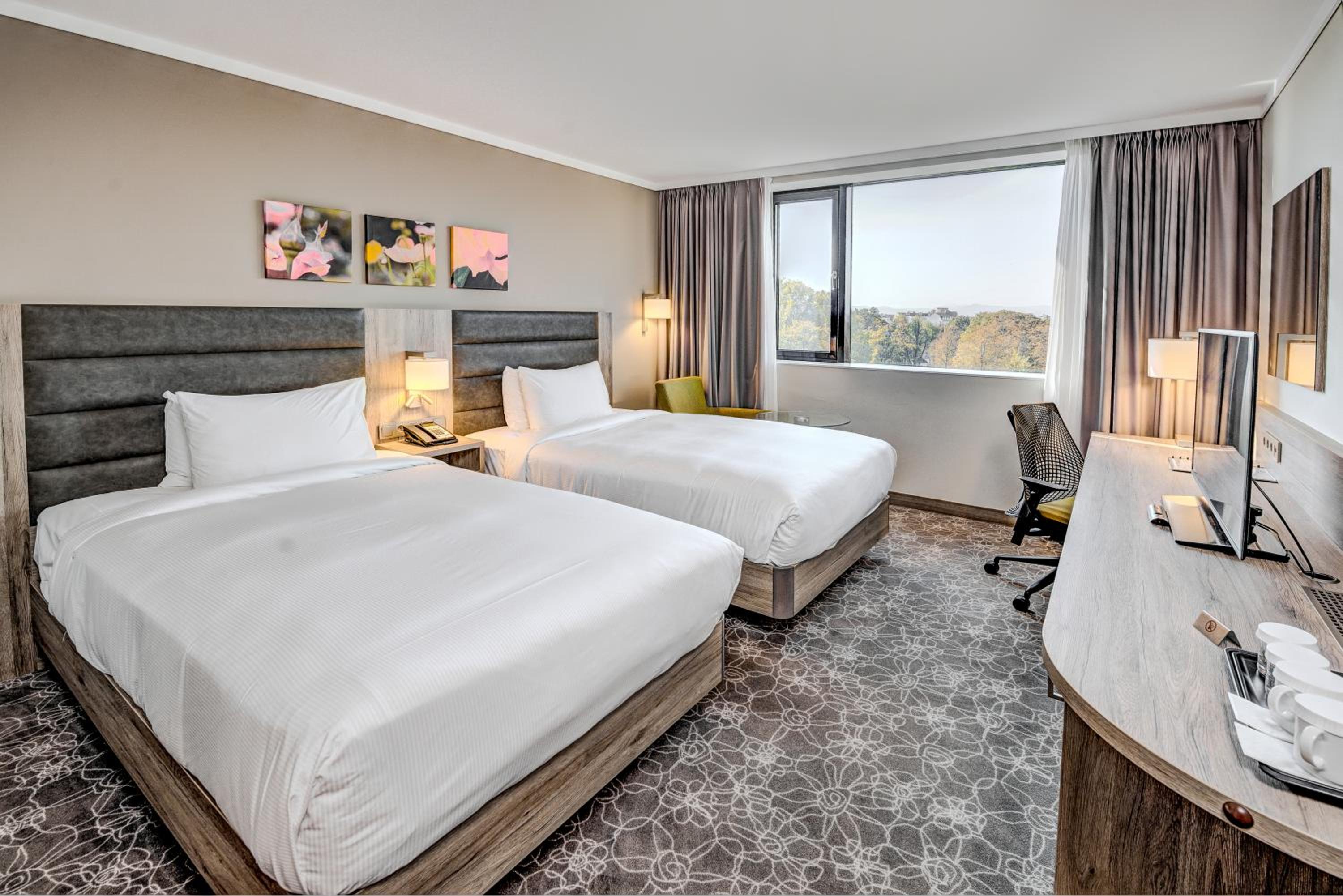 Twin Room - Photo 4