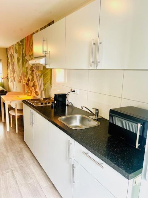 Studio Apartment photo 3