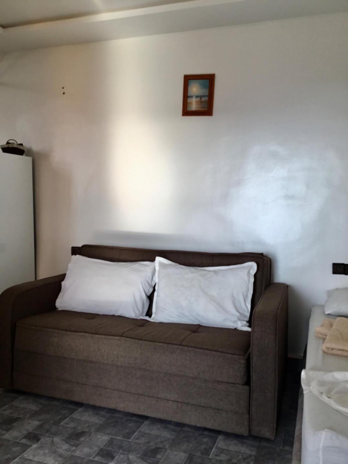 Studio with Terrace photo 2