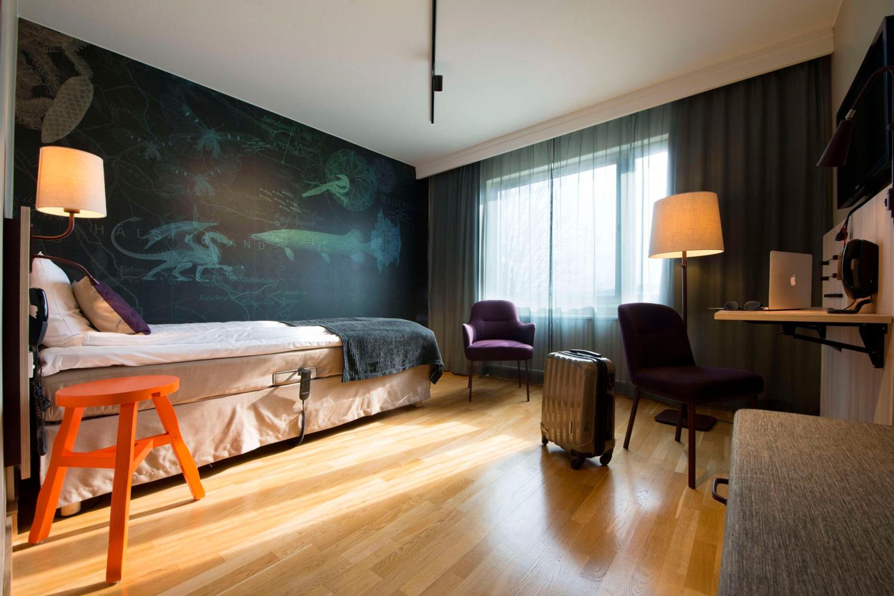Single Room photo 1