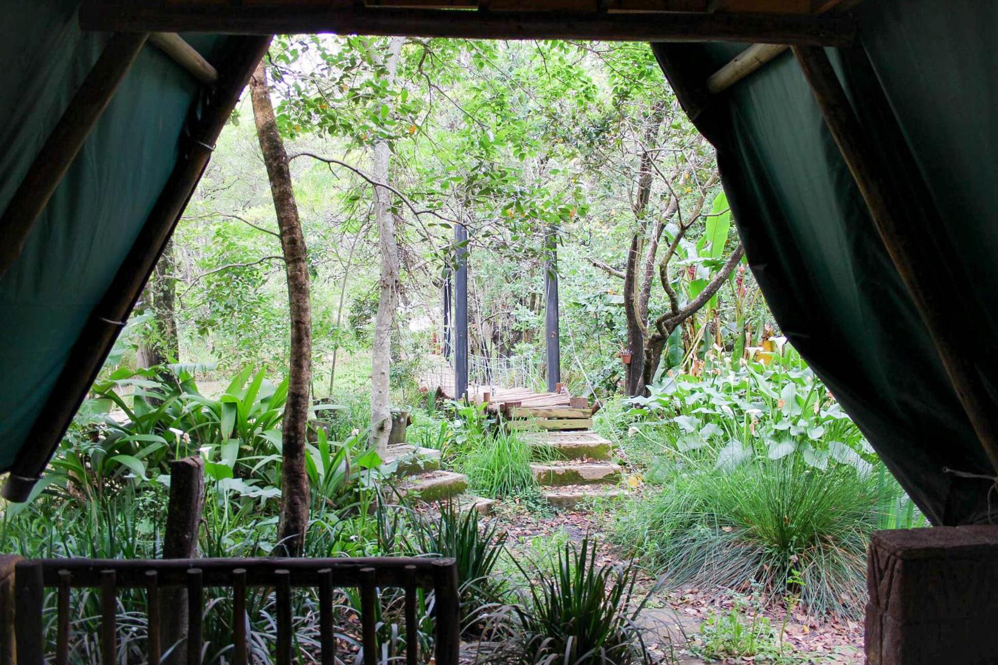 Tent photo 3