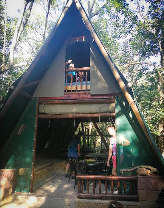 Tent photo 2