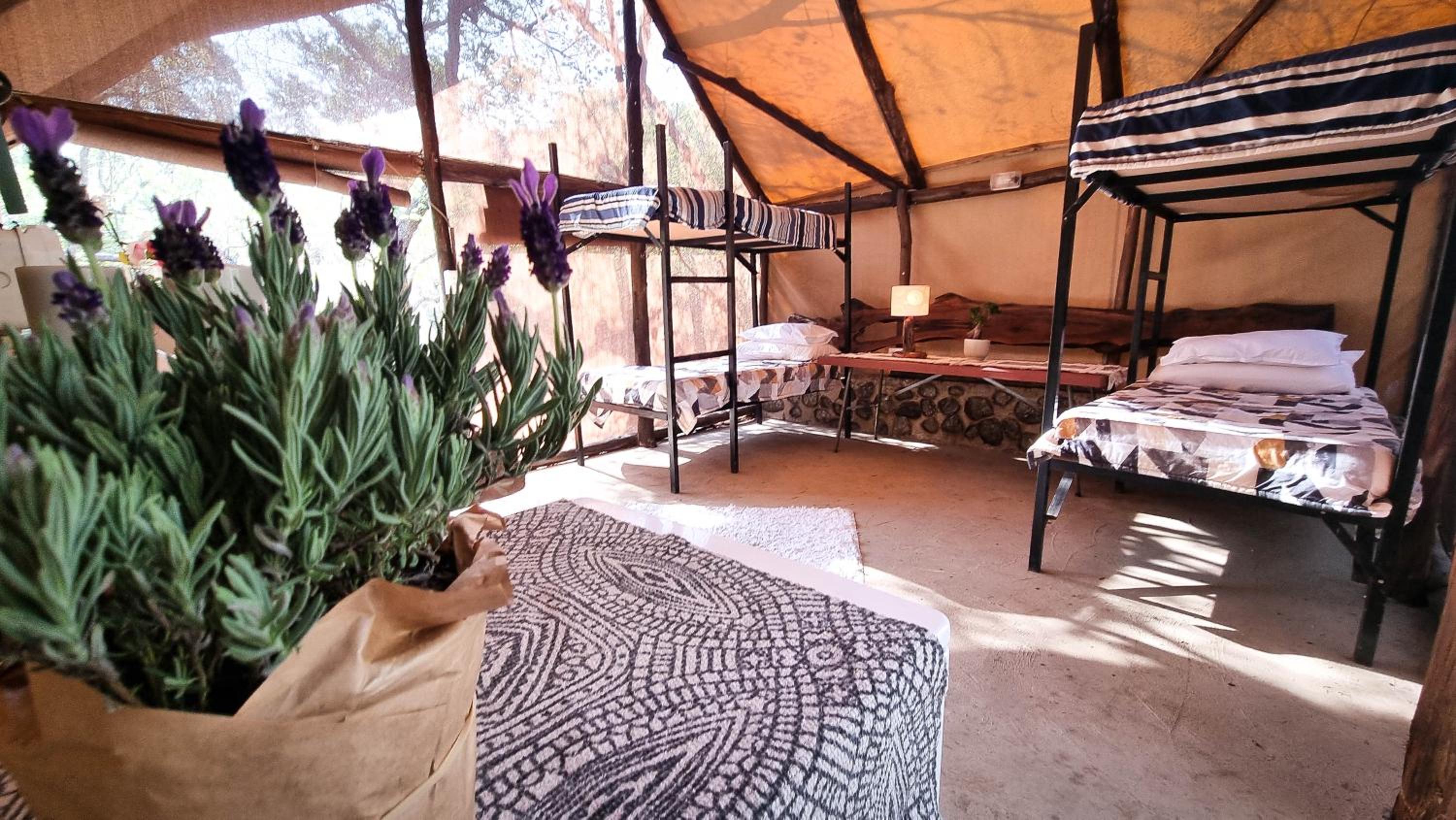 Tent photo 1