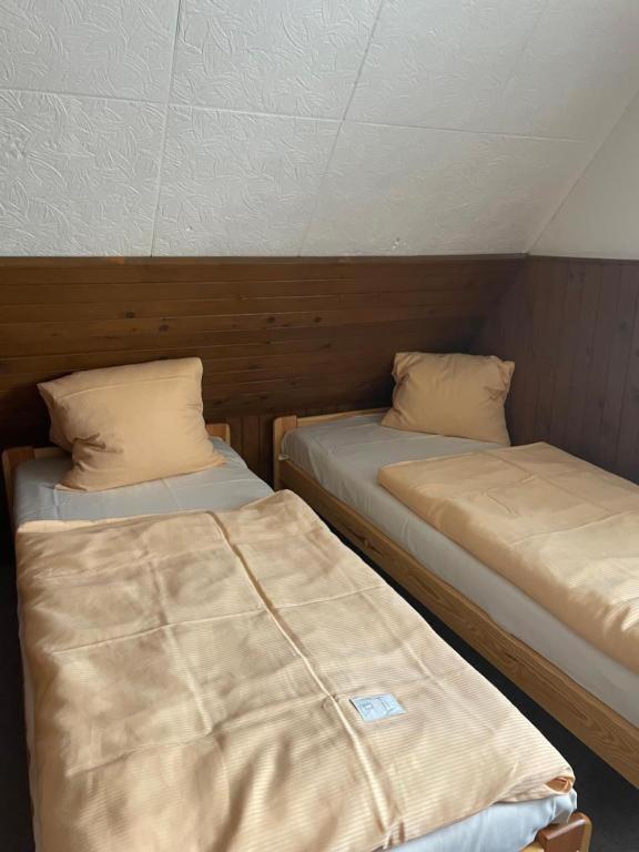 Twin Room with Shared Bathroom photo 3