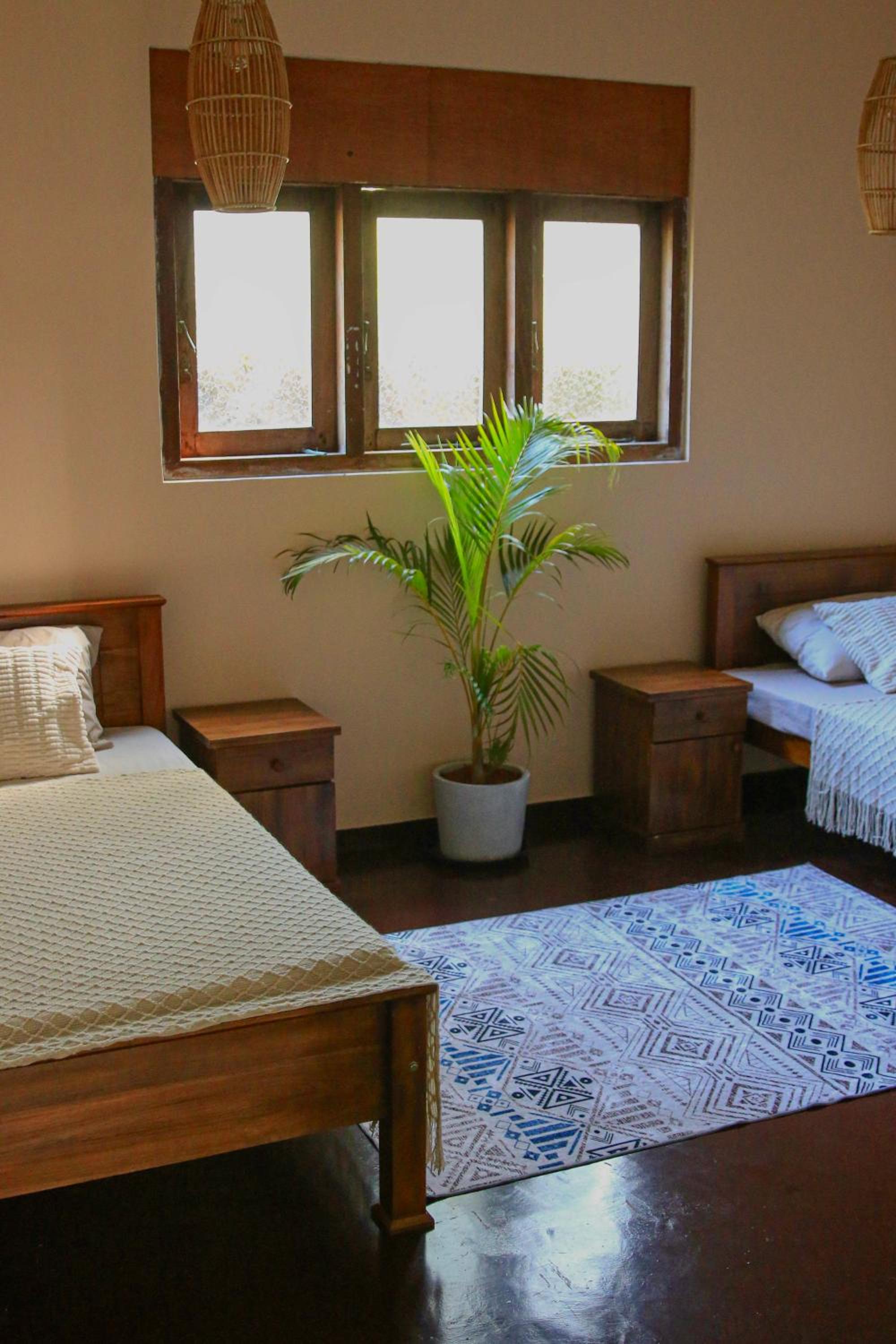 Twin Room photo 2