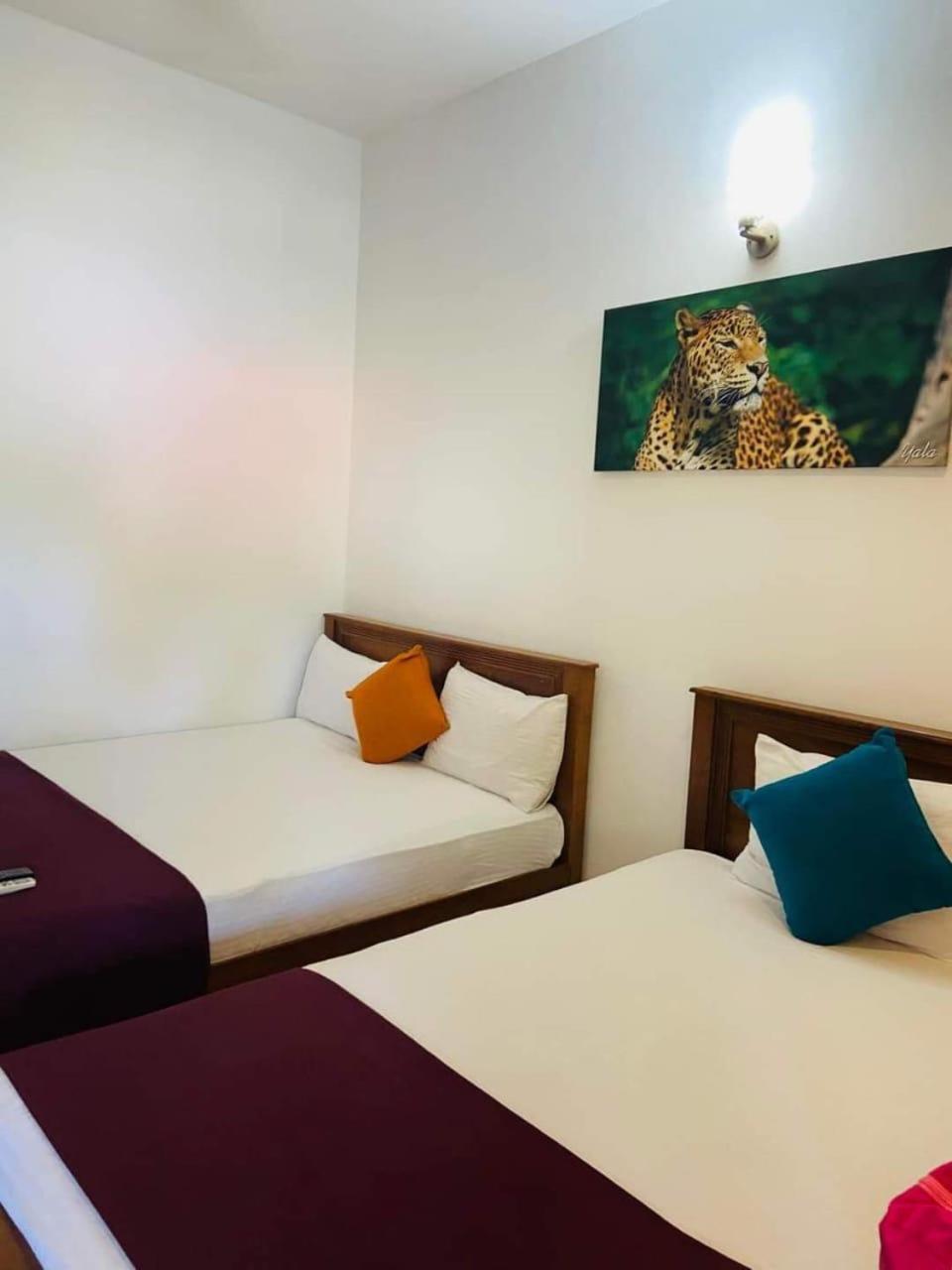 Luxury Triple Room photo 1