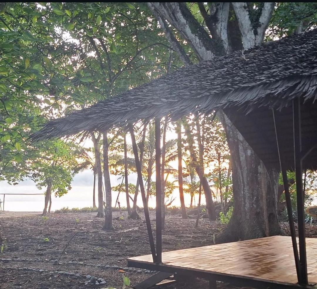 Bungalow - Beach Front photo 2