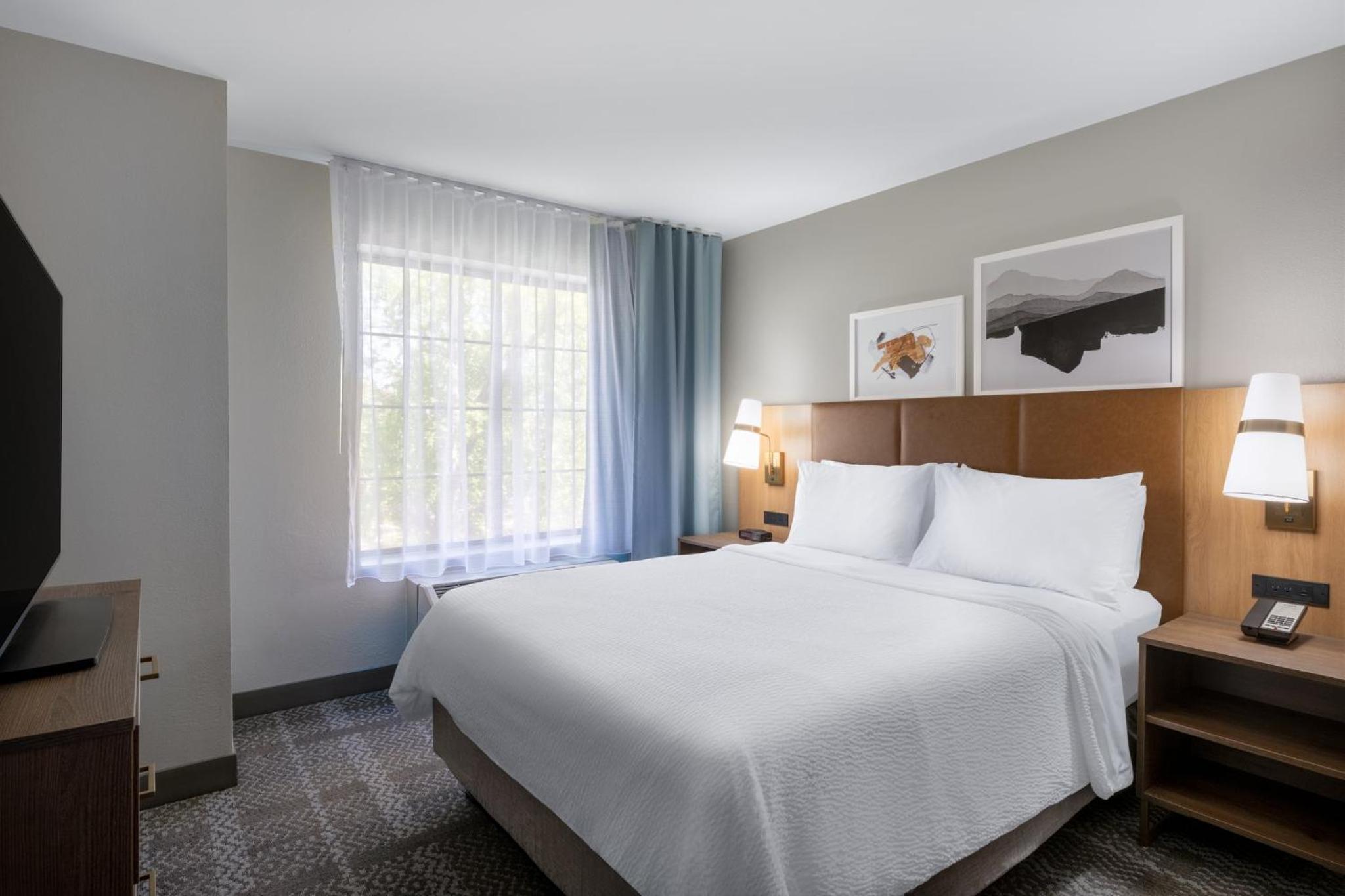 One-Bedroom Suite - Photo 3