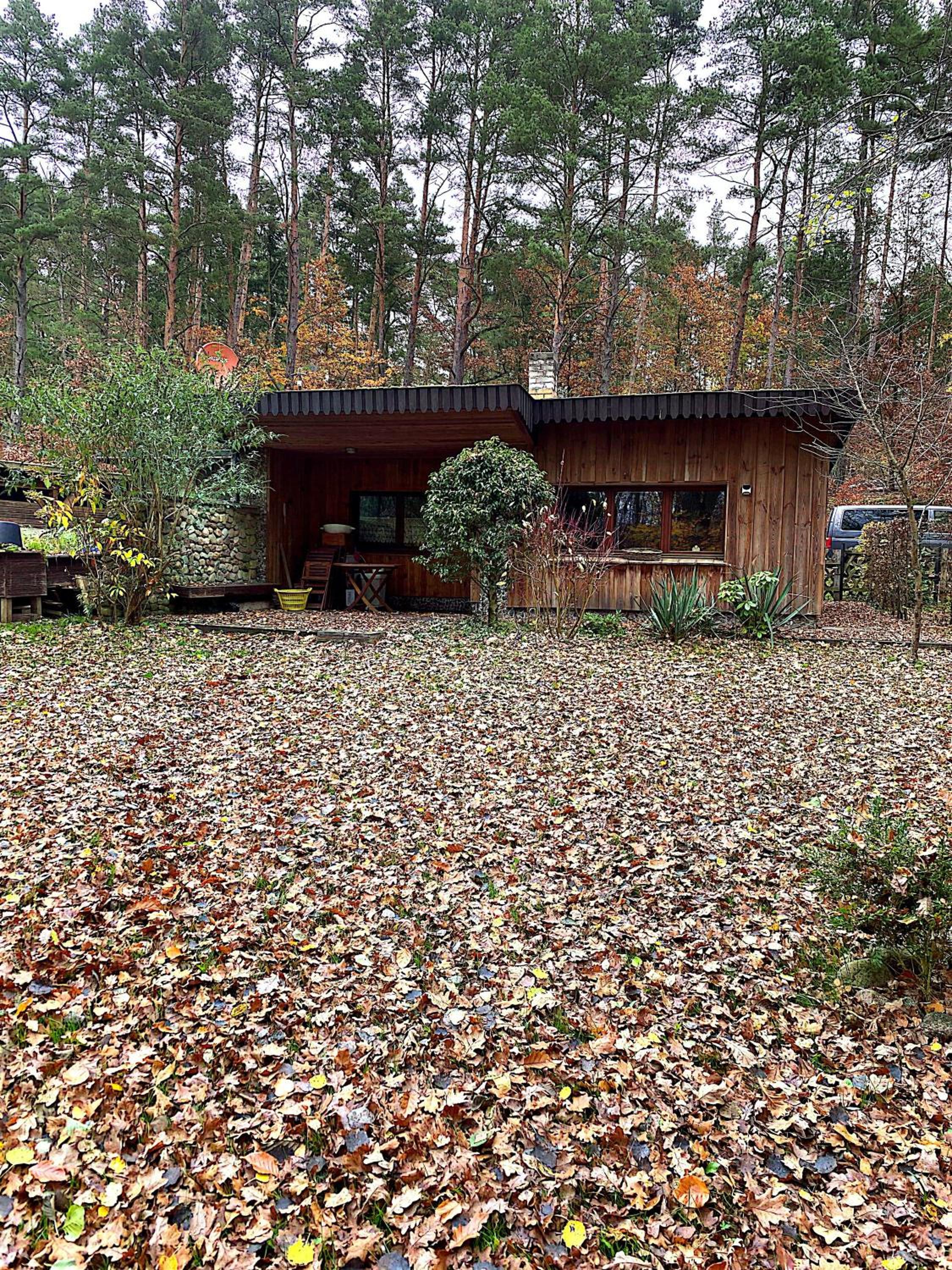 Deluxe Bungalow with Garden View photo 2