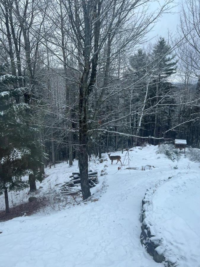 Chalet photo 2
