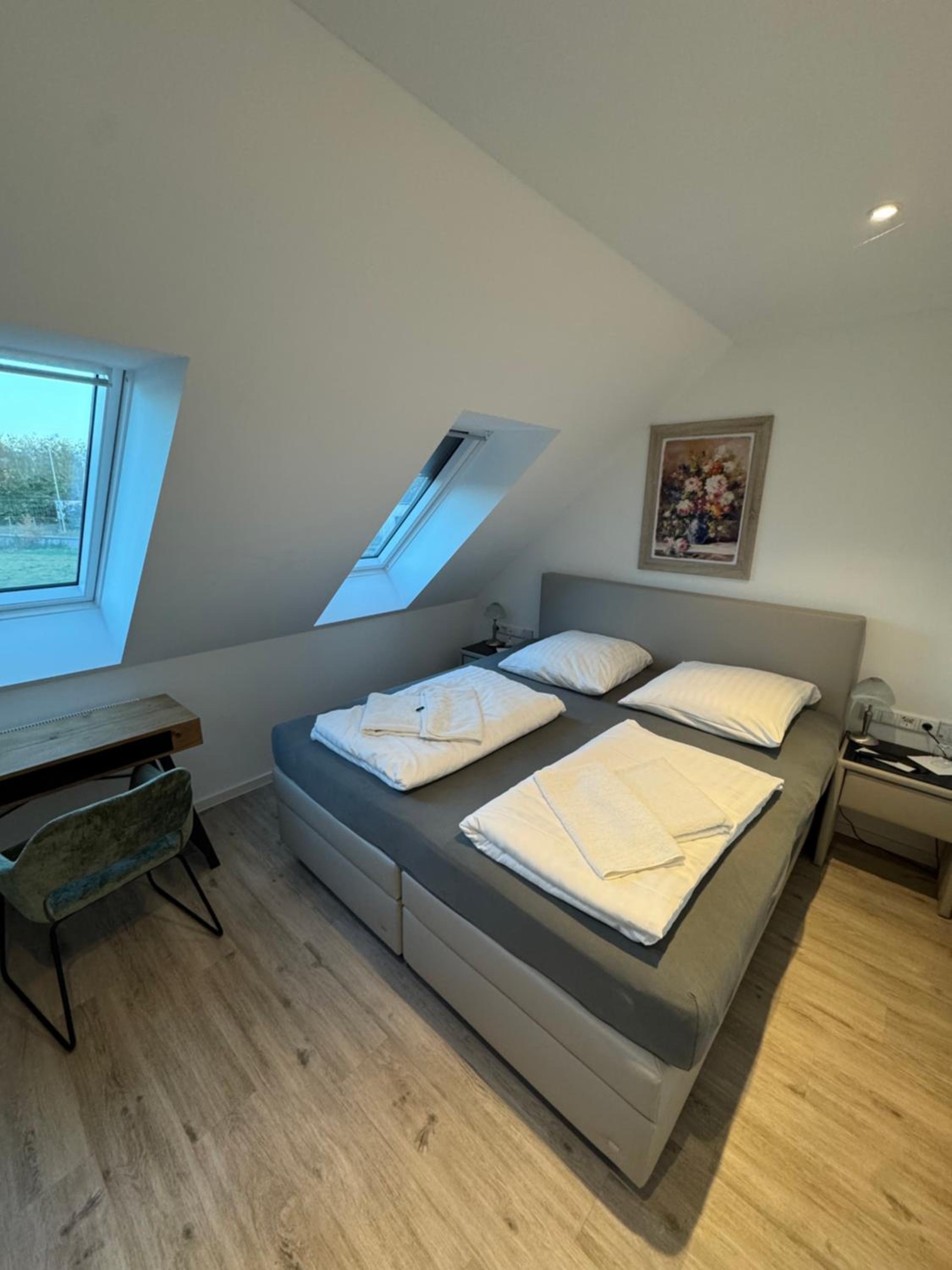 Deluxe Double Room photo 2