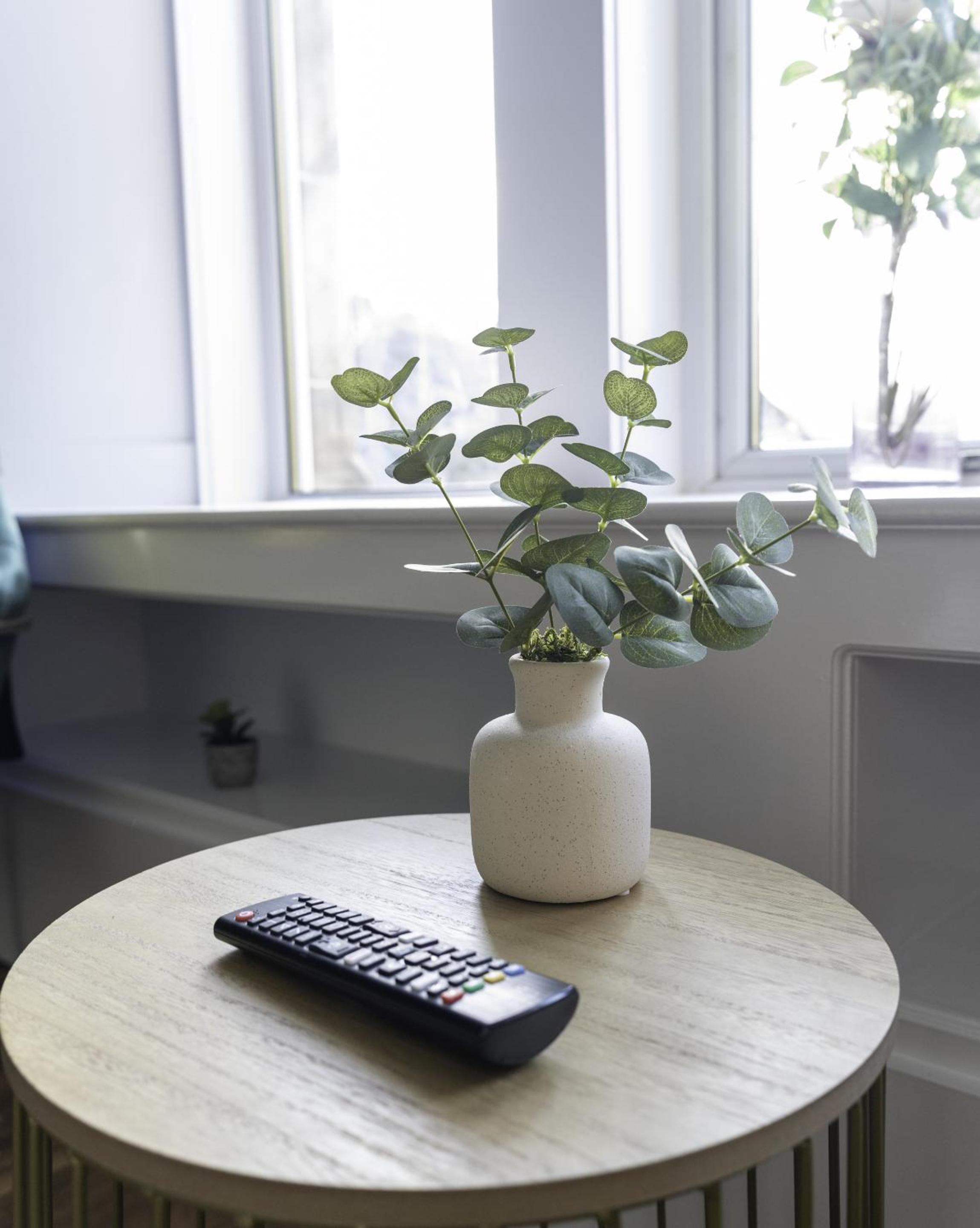 Standard Apartment photo 2