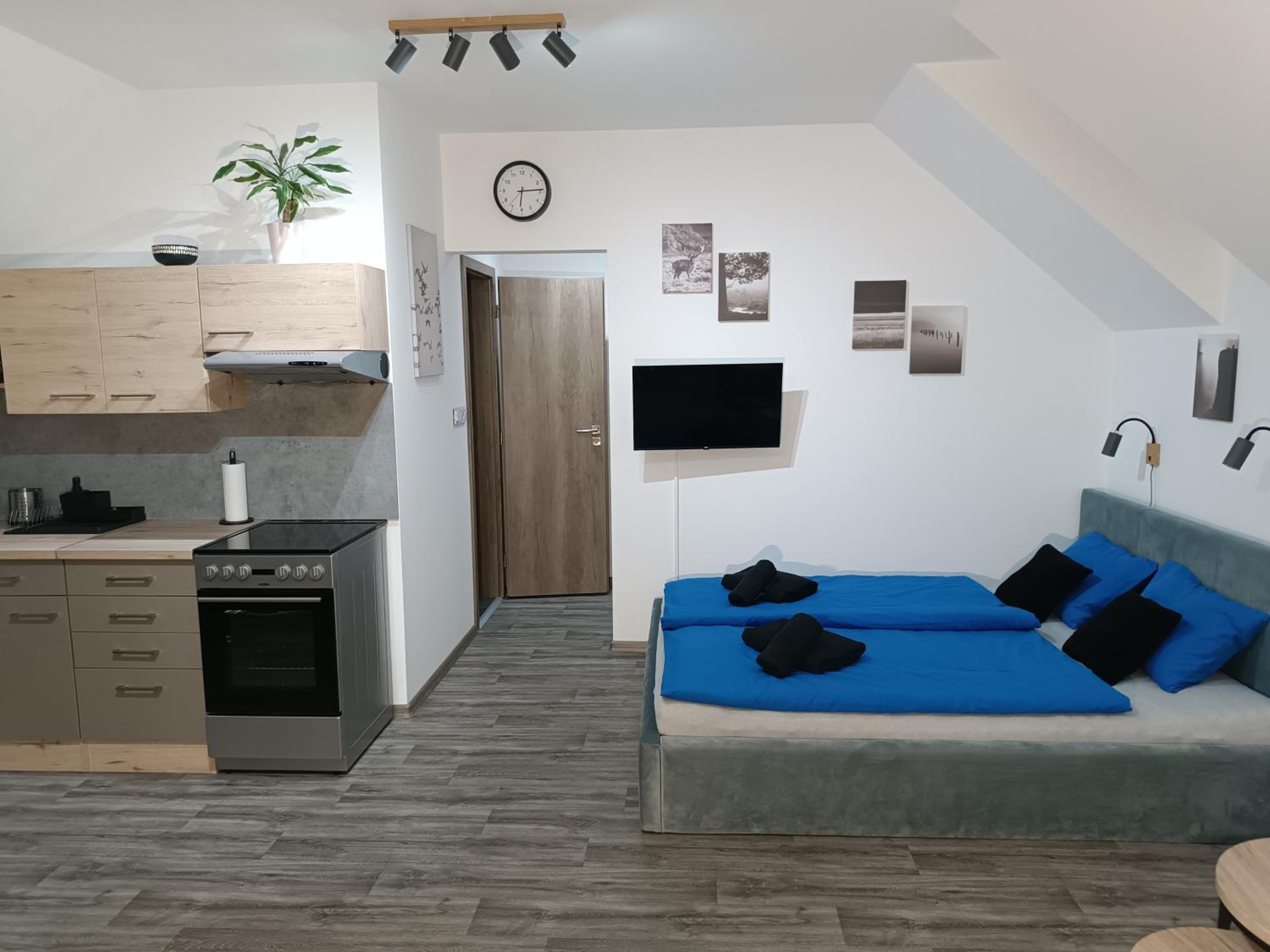 One-Bedroom Apartment photo 2