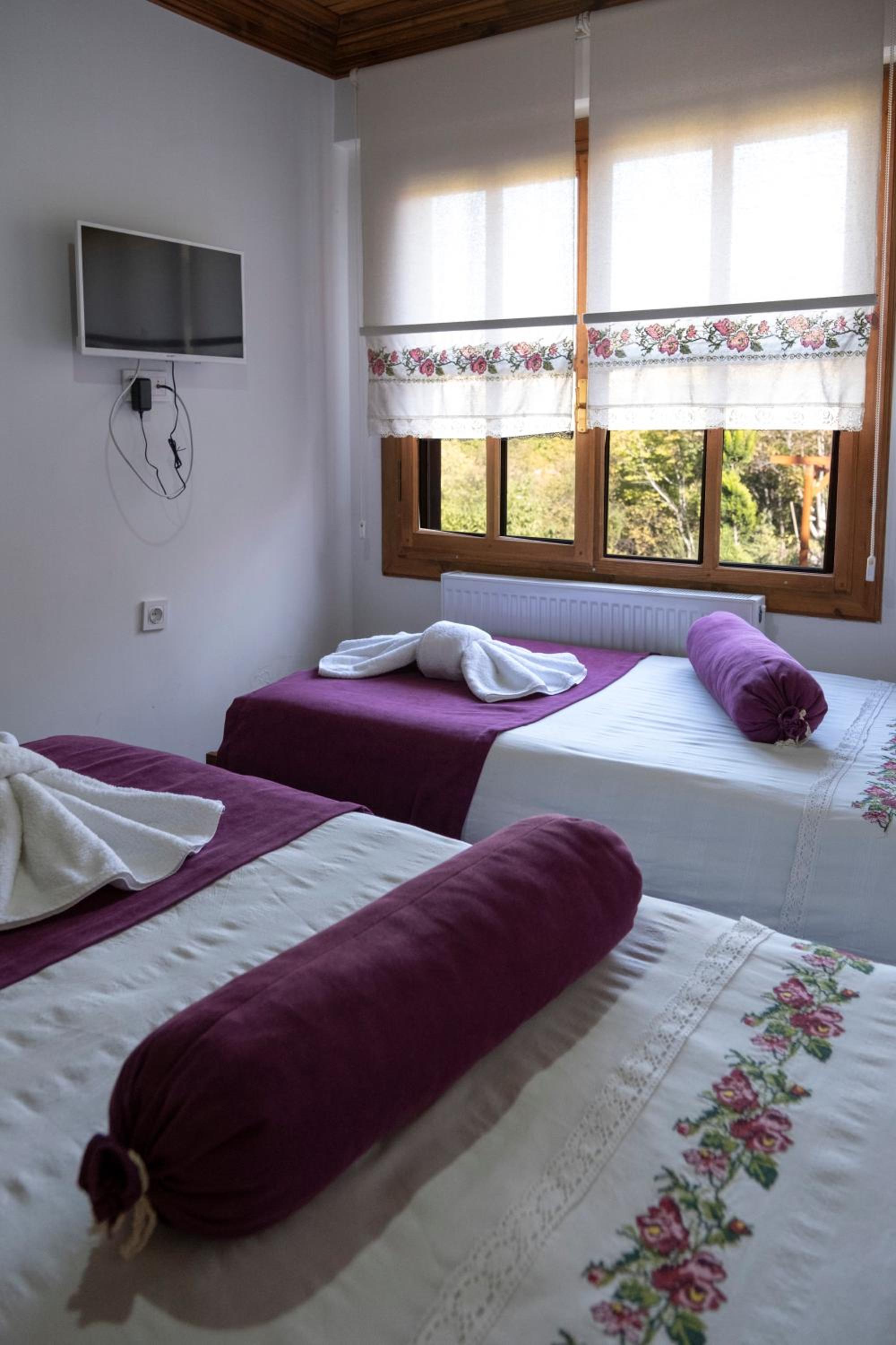 Standard Double Or Twin Room With Garden View