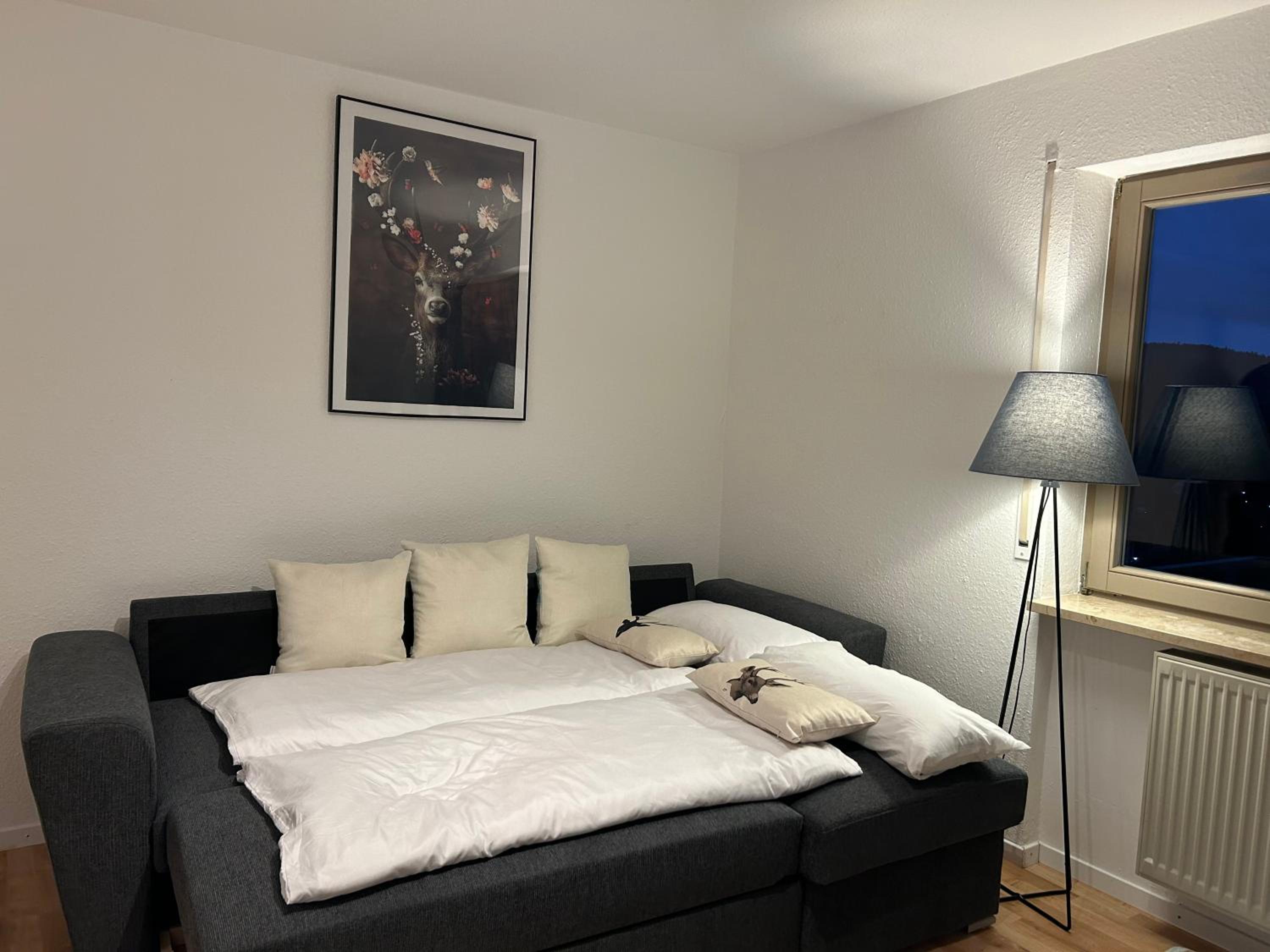 One-Bedroom Apartment photo 2