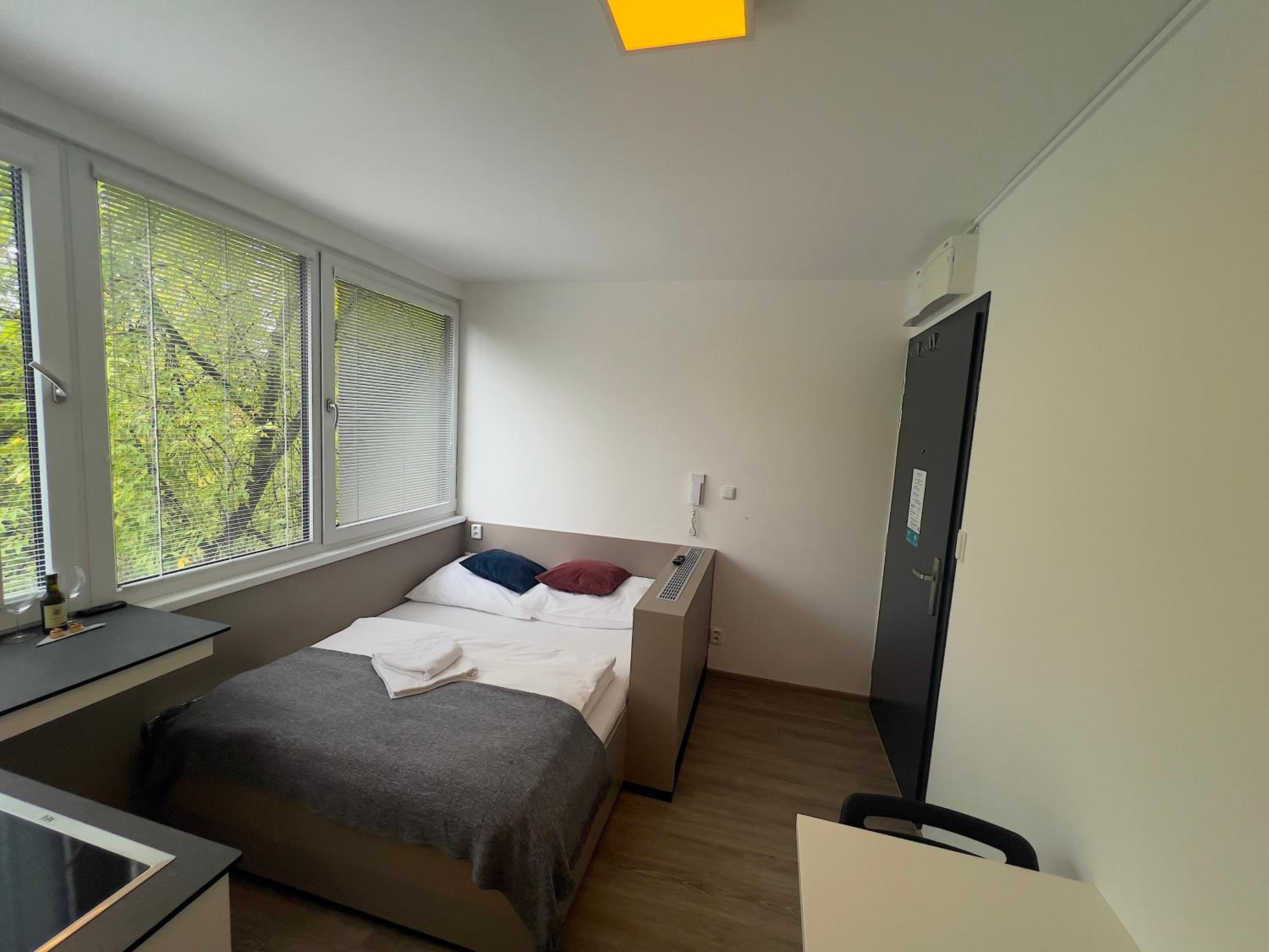 Standard Apartment photo 3
