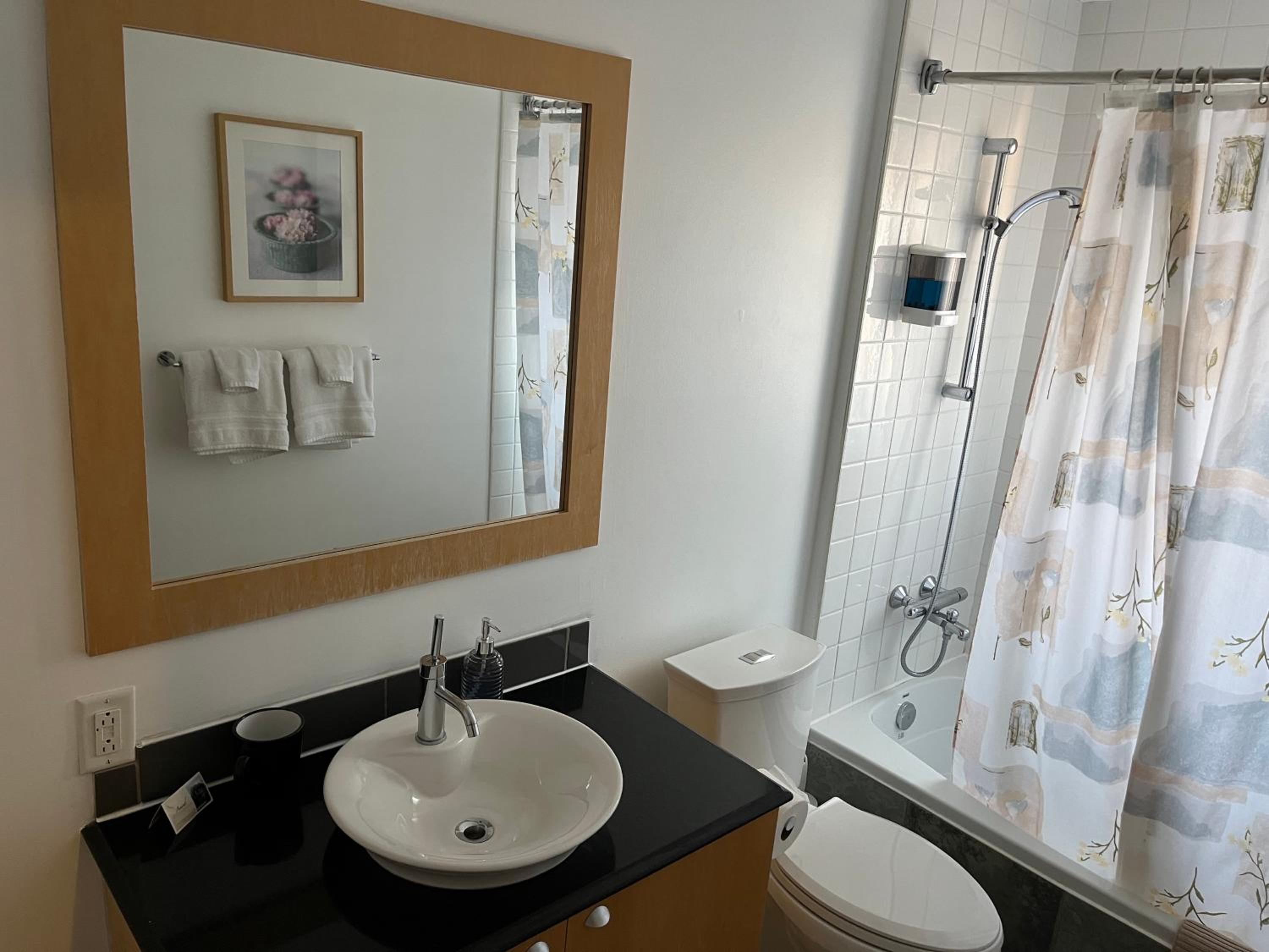 Penthouse Suite 402 thumbnail 6