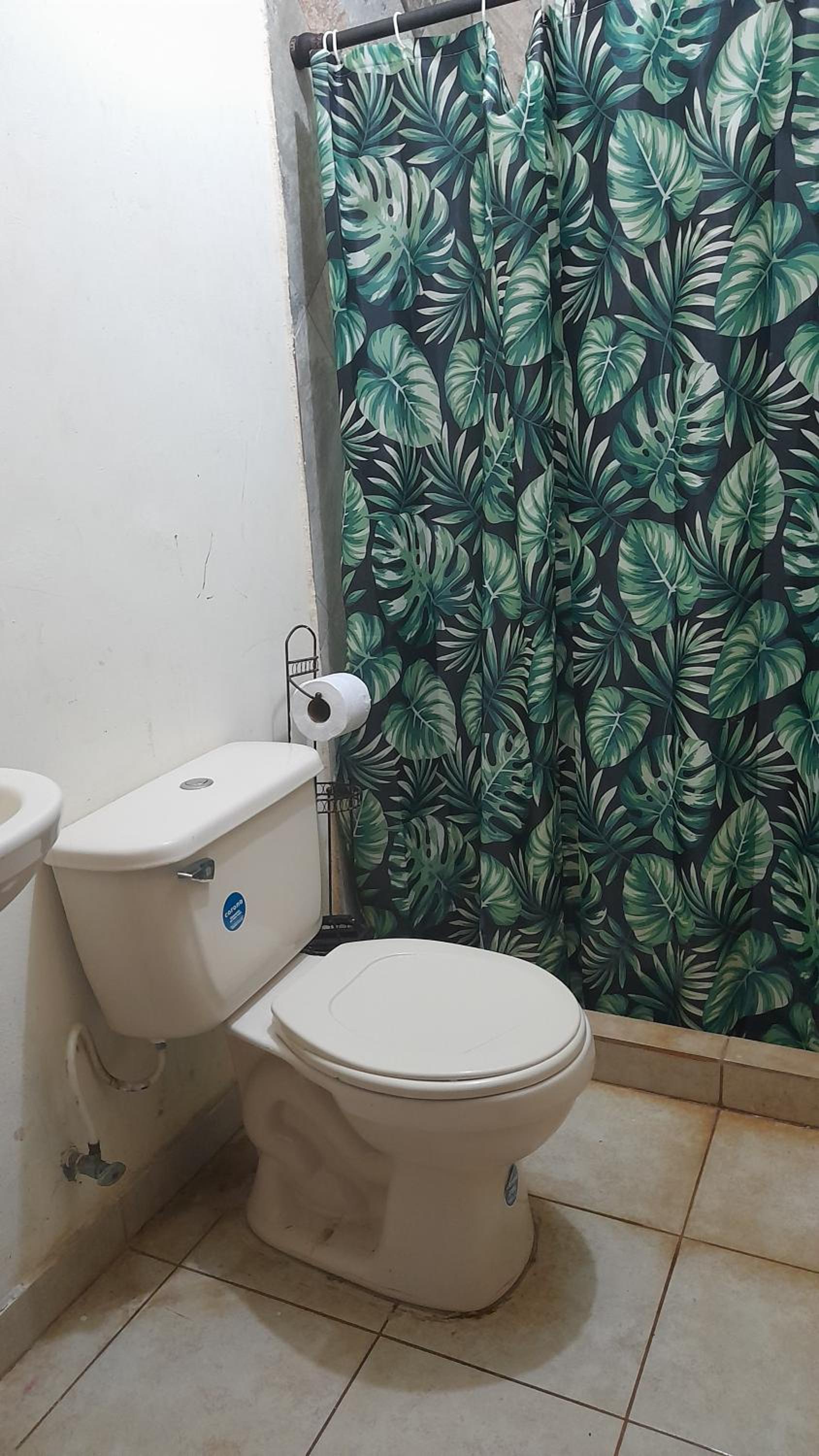 Two-Bedroom House photo 2