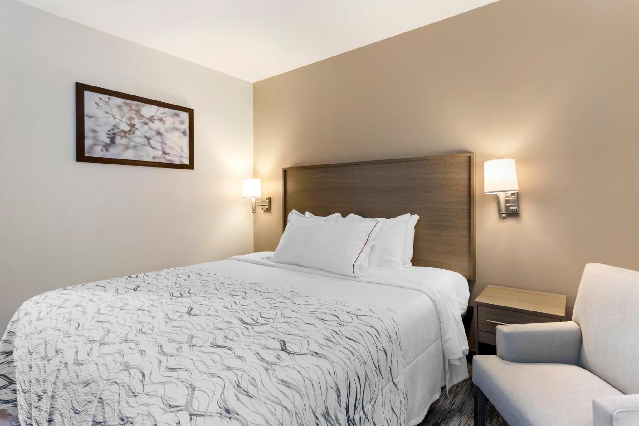 Premium King Room Smoke Free (Upgraded Bedding and Snack Box) - Photo 9