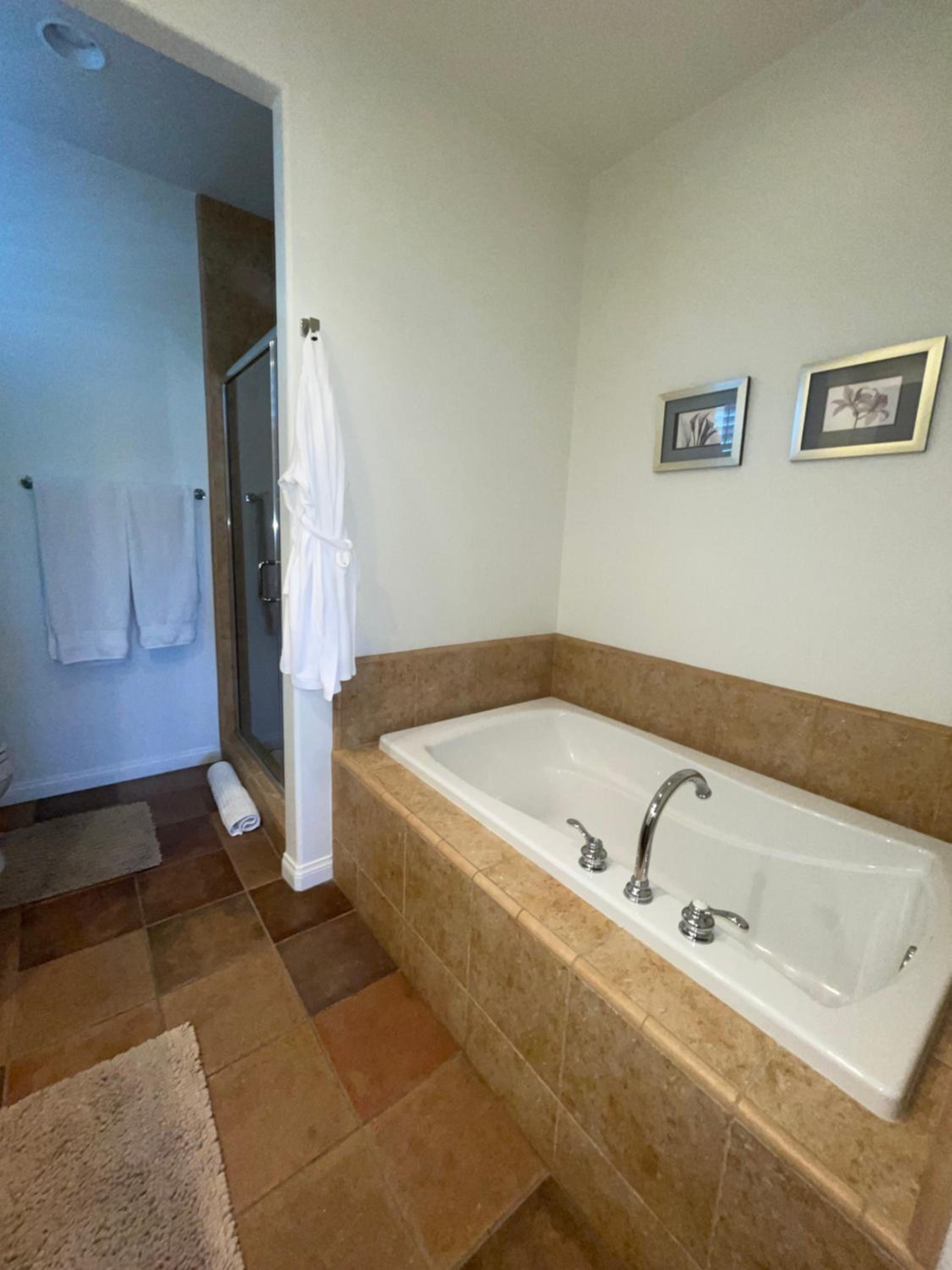 Deluxe Villa photo 2