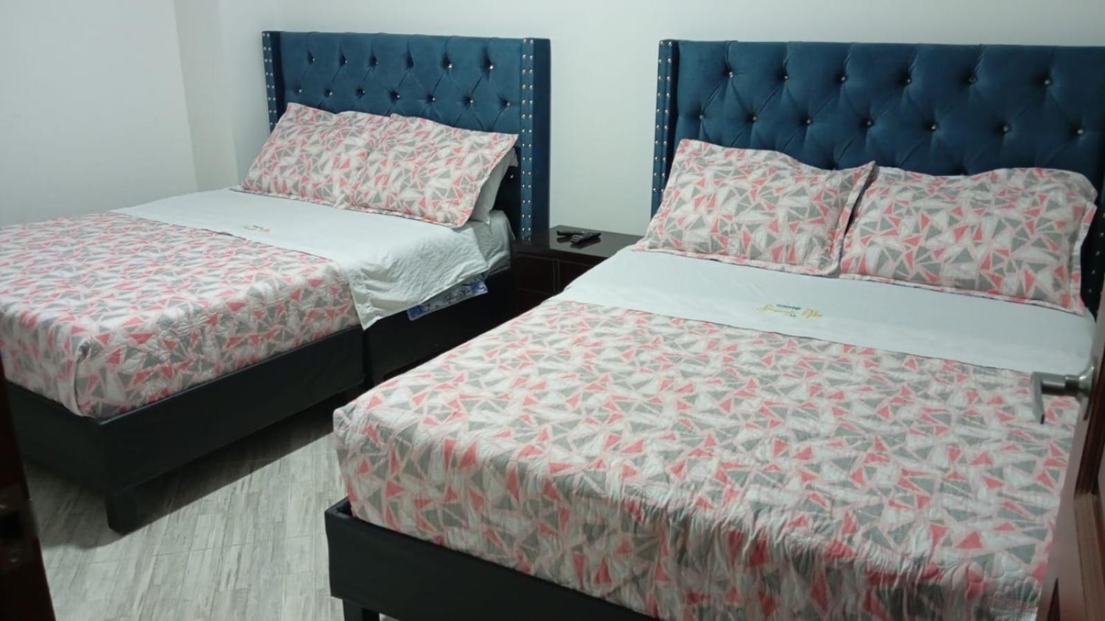 Twin Room photo 1