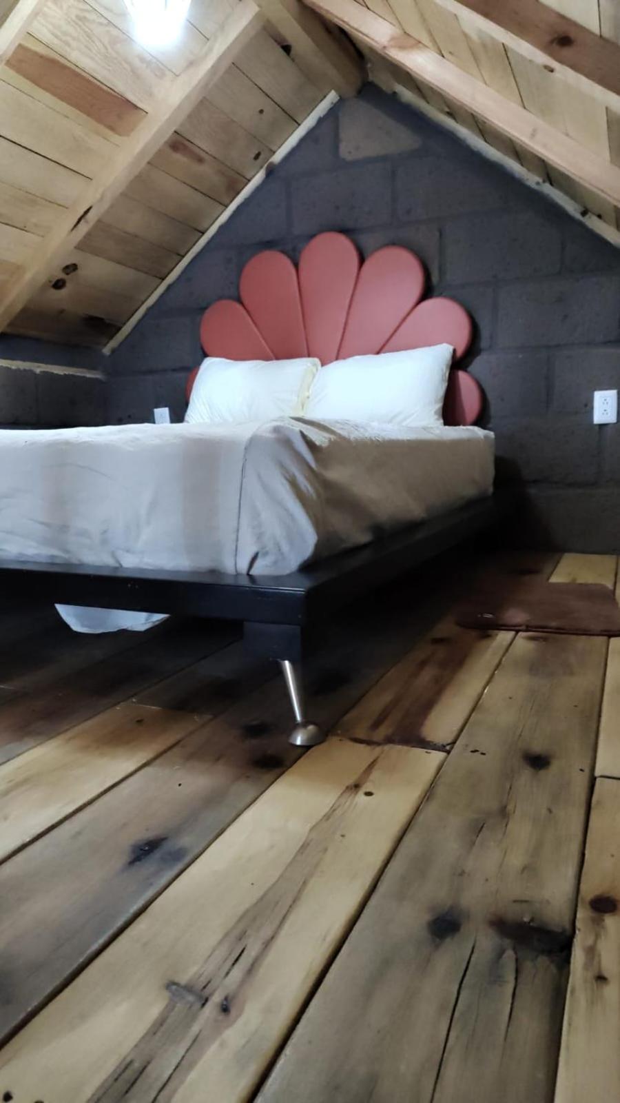 Suite with Garden View photo 2
