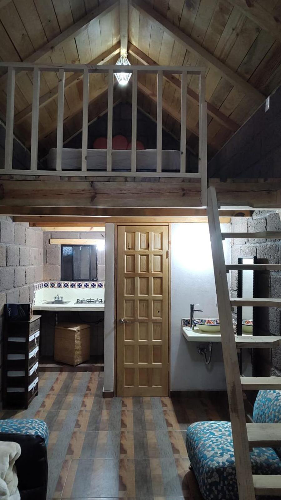 Suite with Garden View photo 1