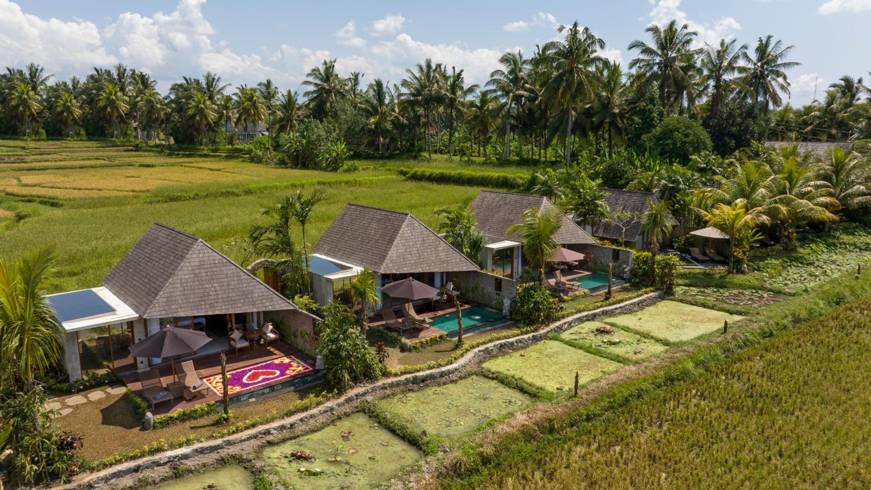 One-Bedroom Villa  with Free Daily Afternoon Tea - Photo 11