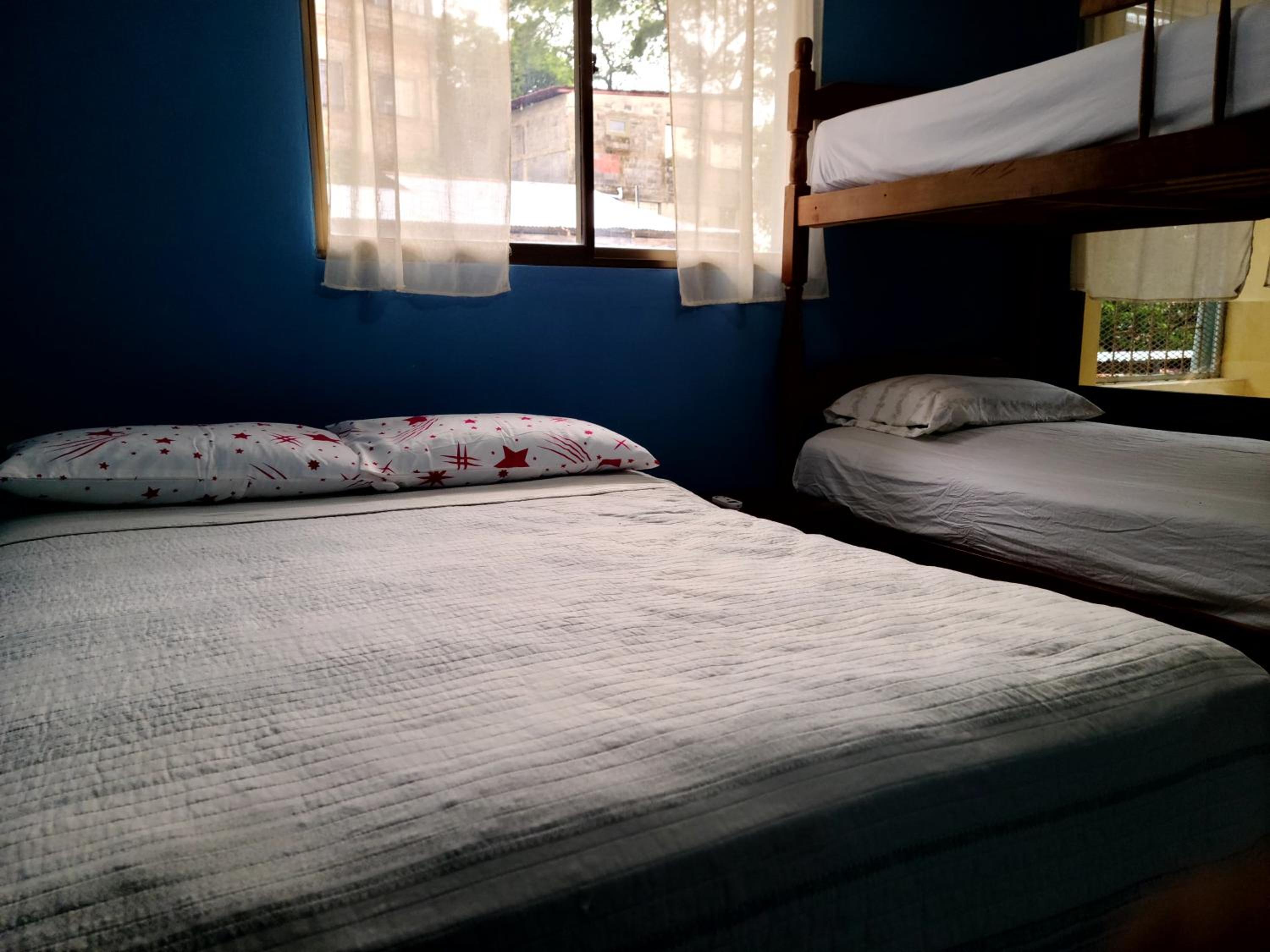 Single Bed In Mixed Dormitory Room photo 1
