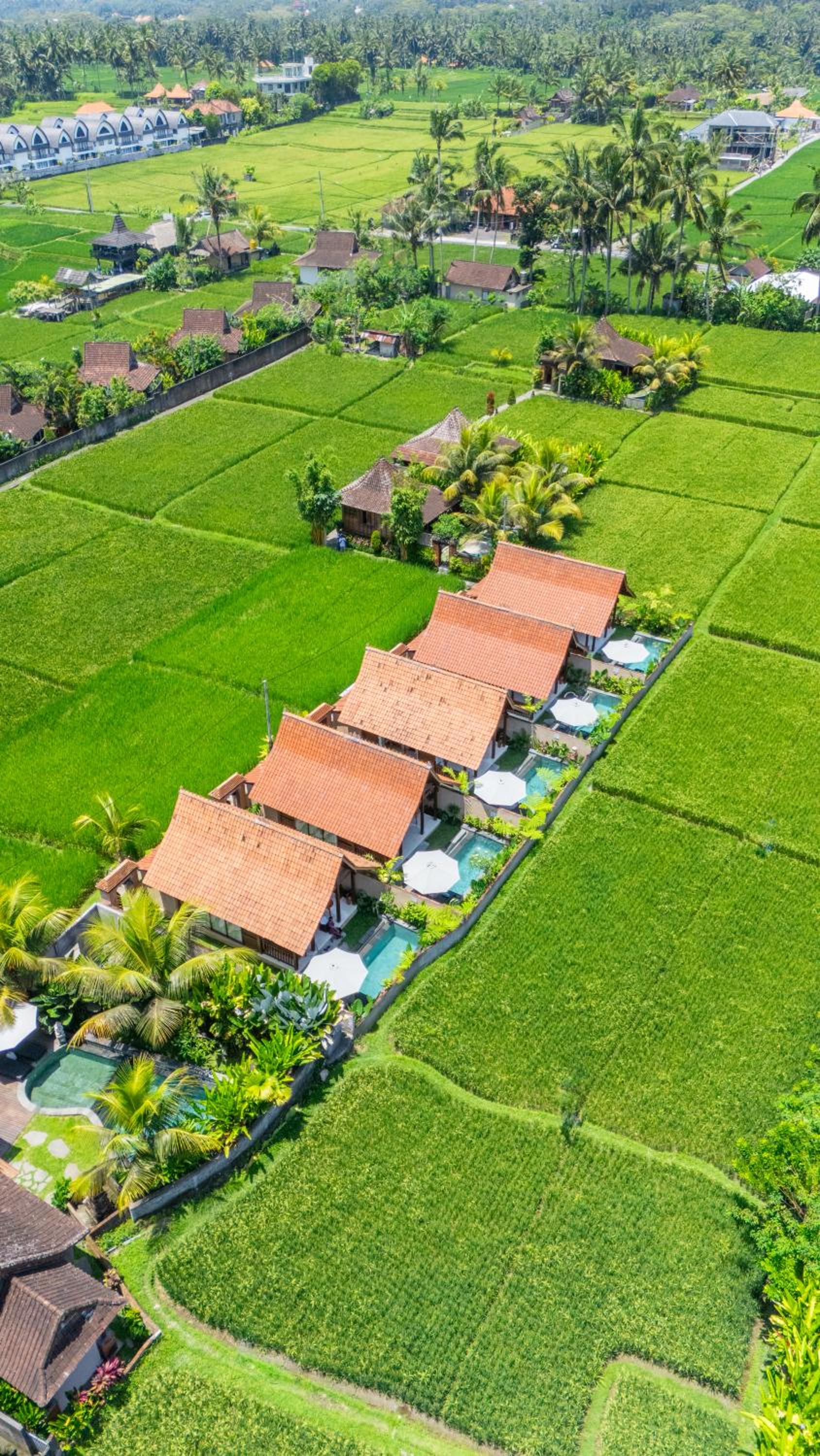 One-Bedroom Villa with Free Daily Afternoon Tea - Photo 5