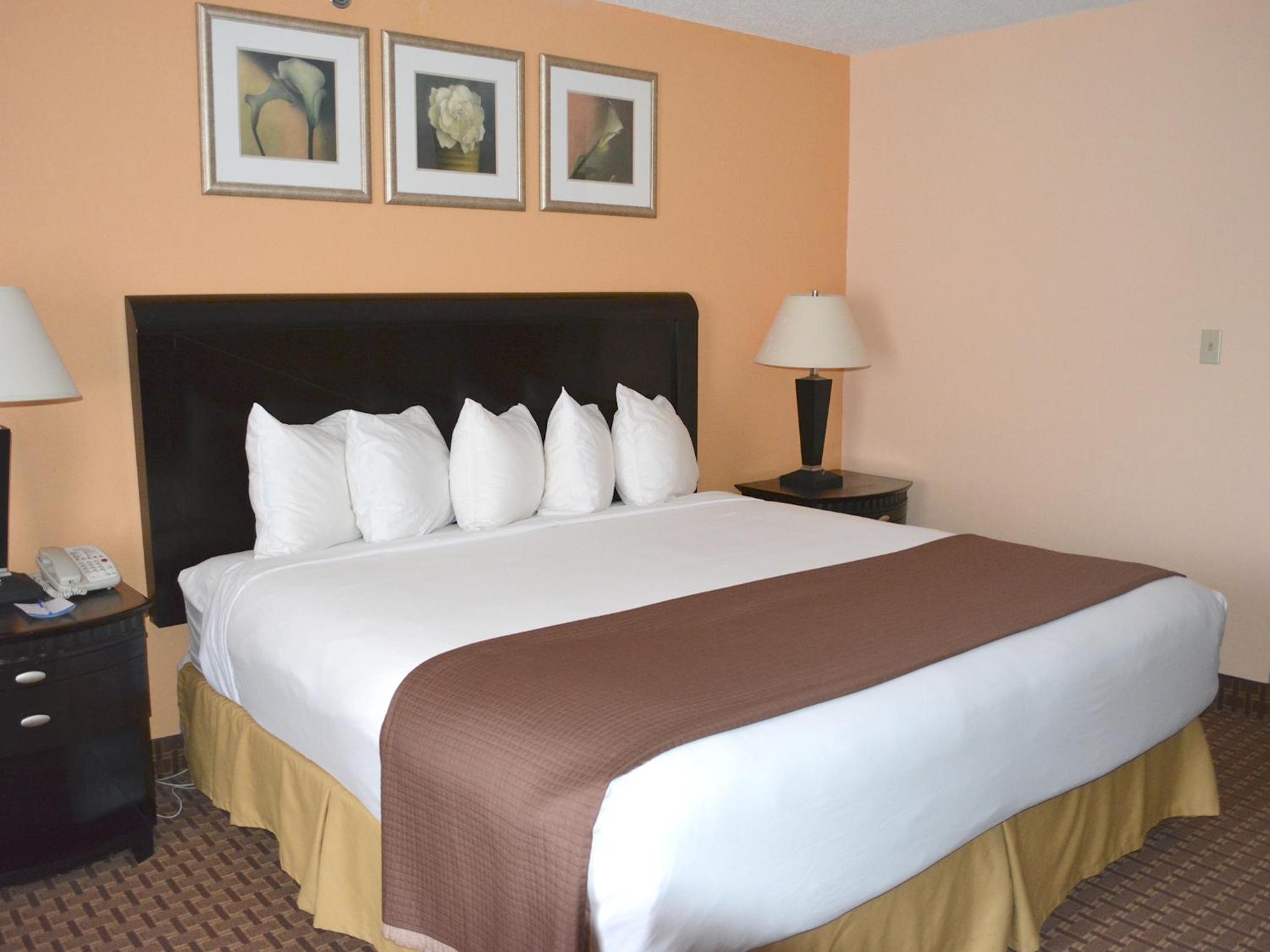 King Room - Non-Smoking - Photo 1