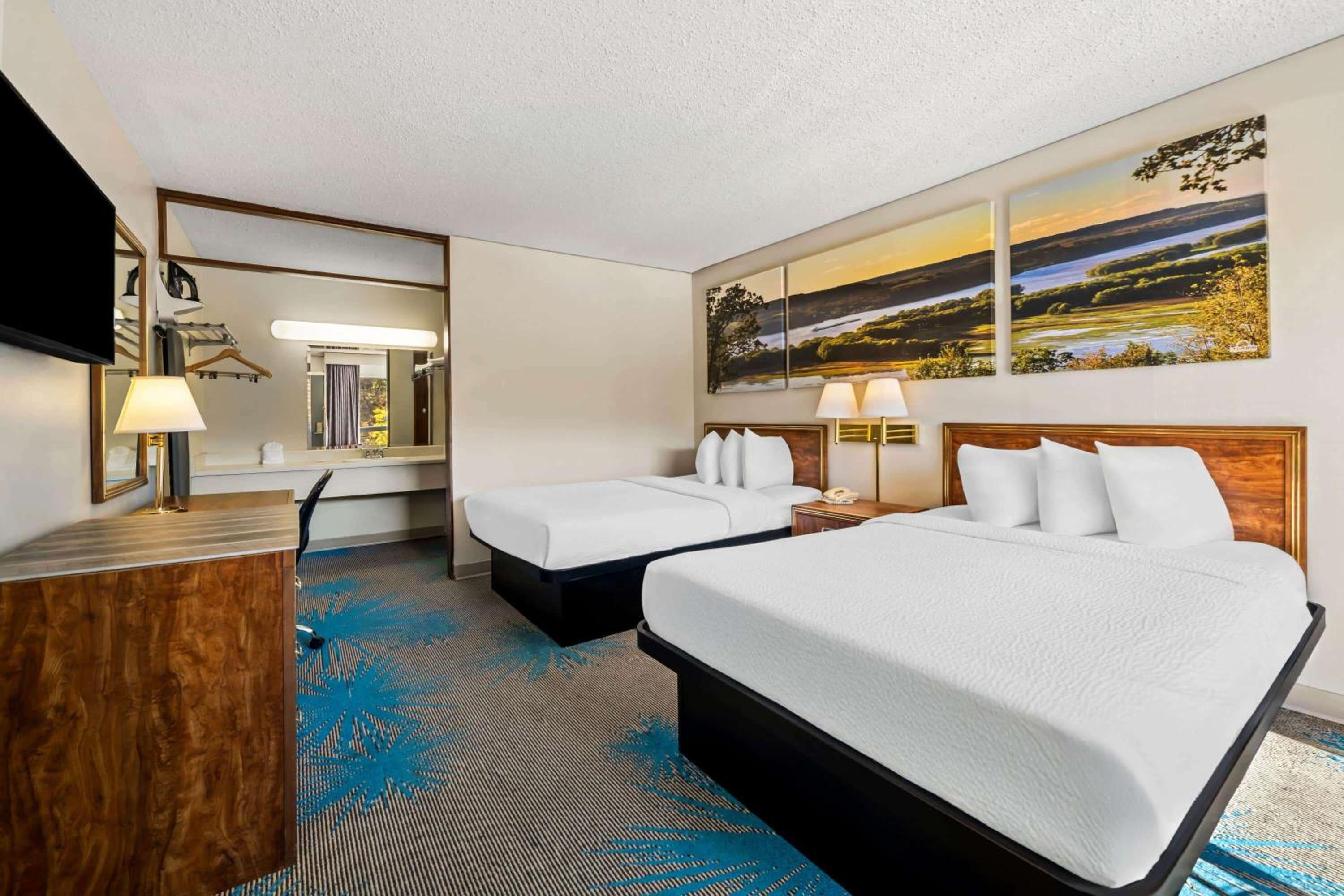 Double Suite - Photo 1